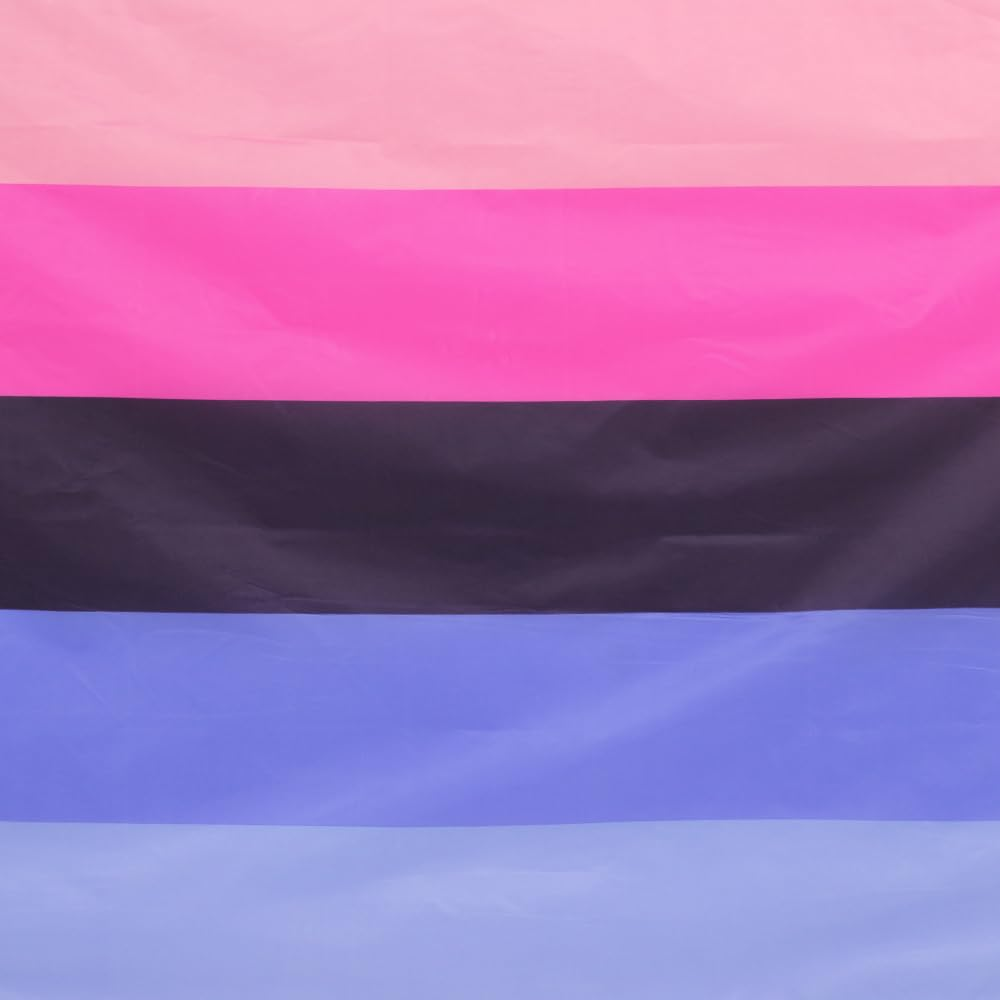 FLAGLINK Ominisexuality Pride Flag 3X5Fts - Pansexuality Omni Pride Banner image number 3