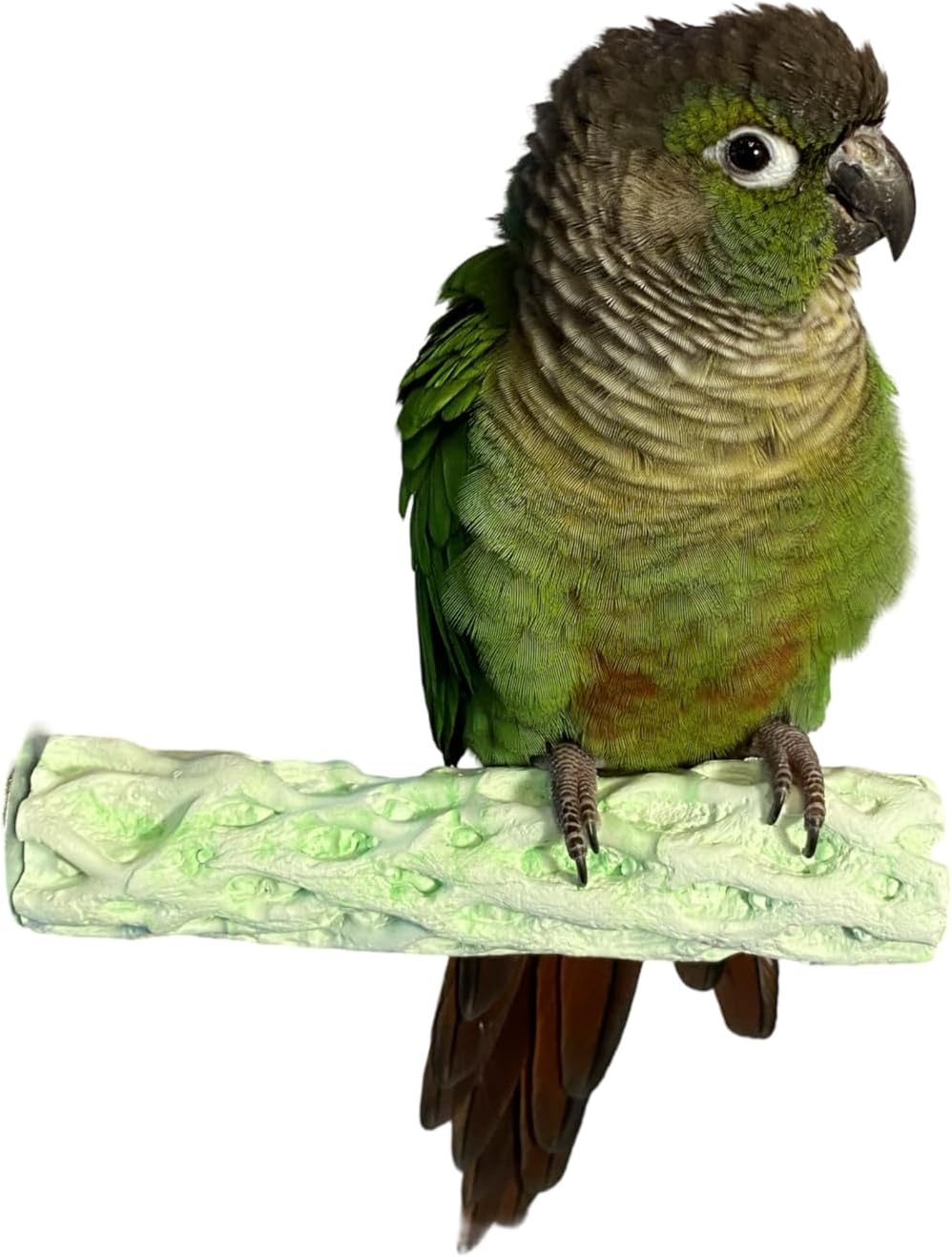 Tooty Fruity Bee Pollen Small Lime image number 2