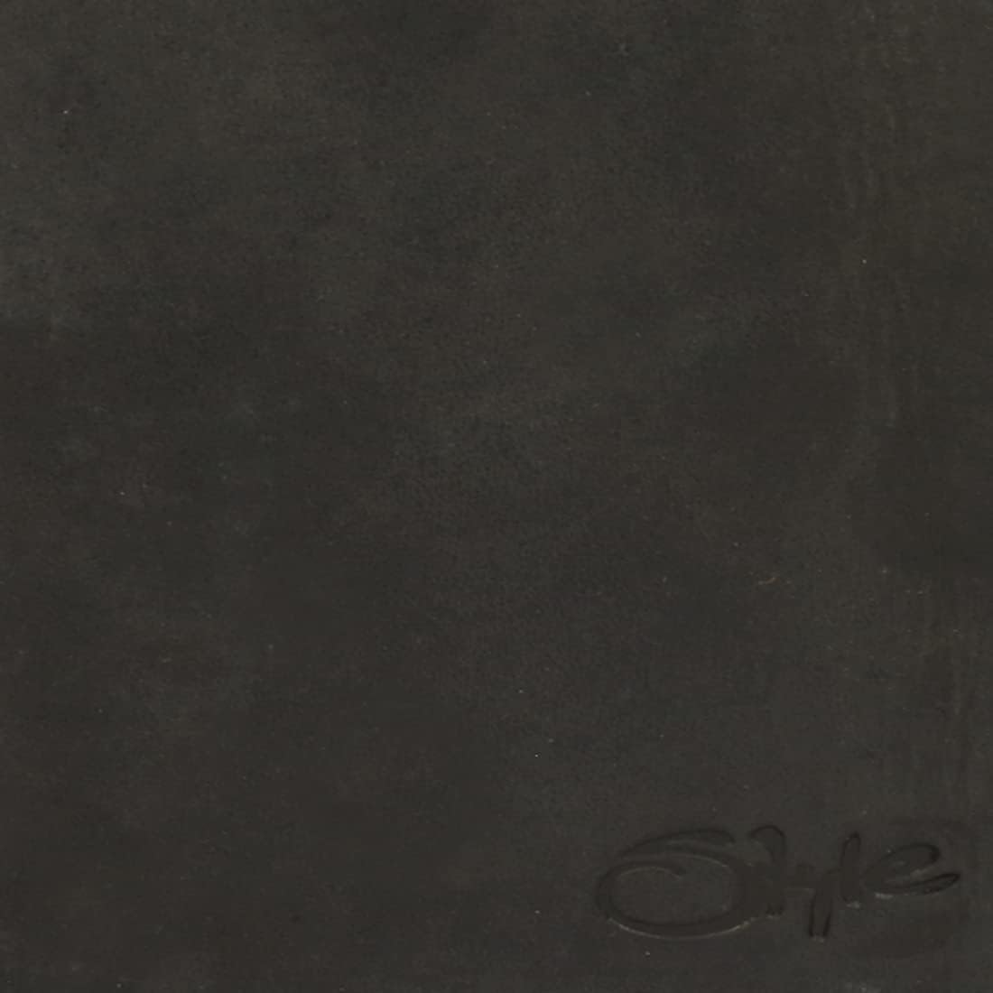 STYLE SHOES Black Smart and Stylish Leather Passport Holder, Black, Luggage image number 5