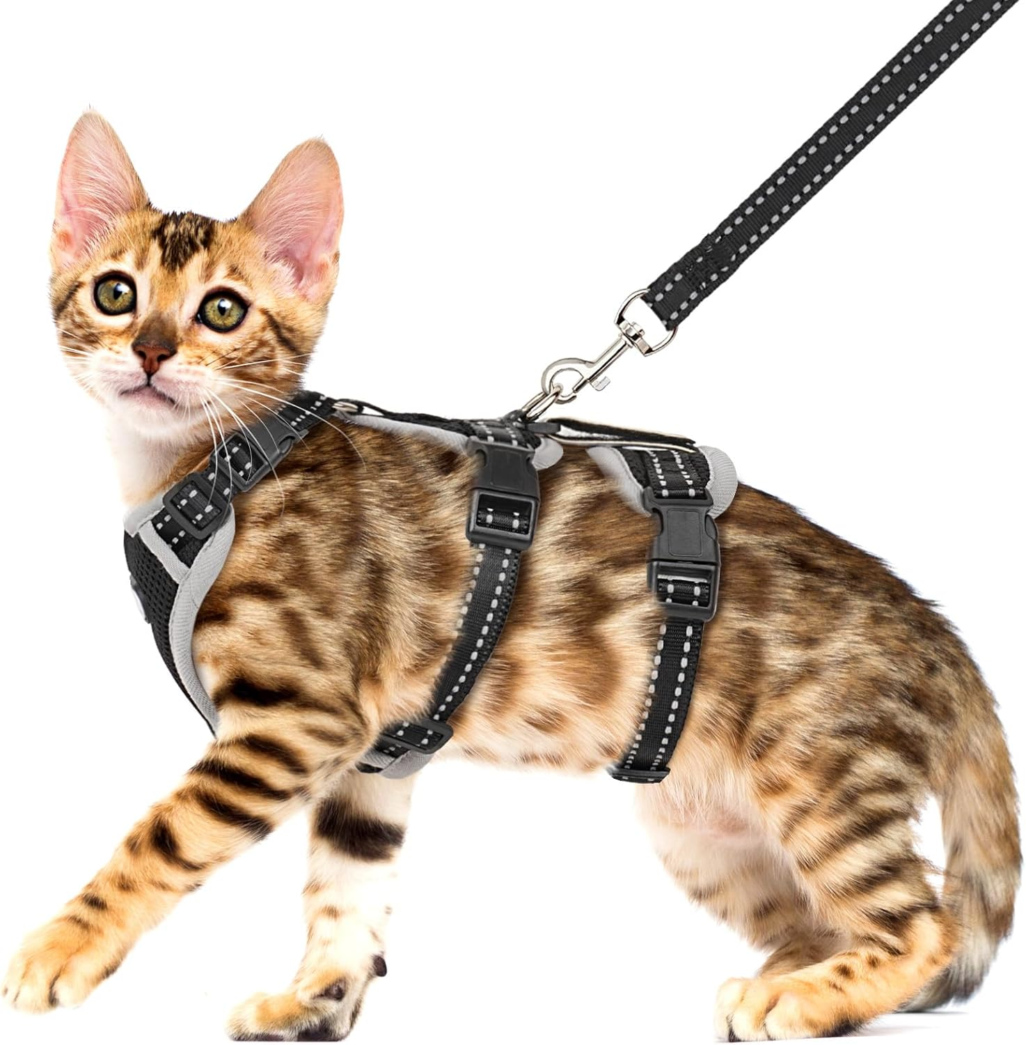 Cat Harness for Walking, Escape Proof Cat Harness and Leash Set with Reflective Strip, Adjustable Cat Leash Breathable Soft Vest for Small to Large Cats, Green, S