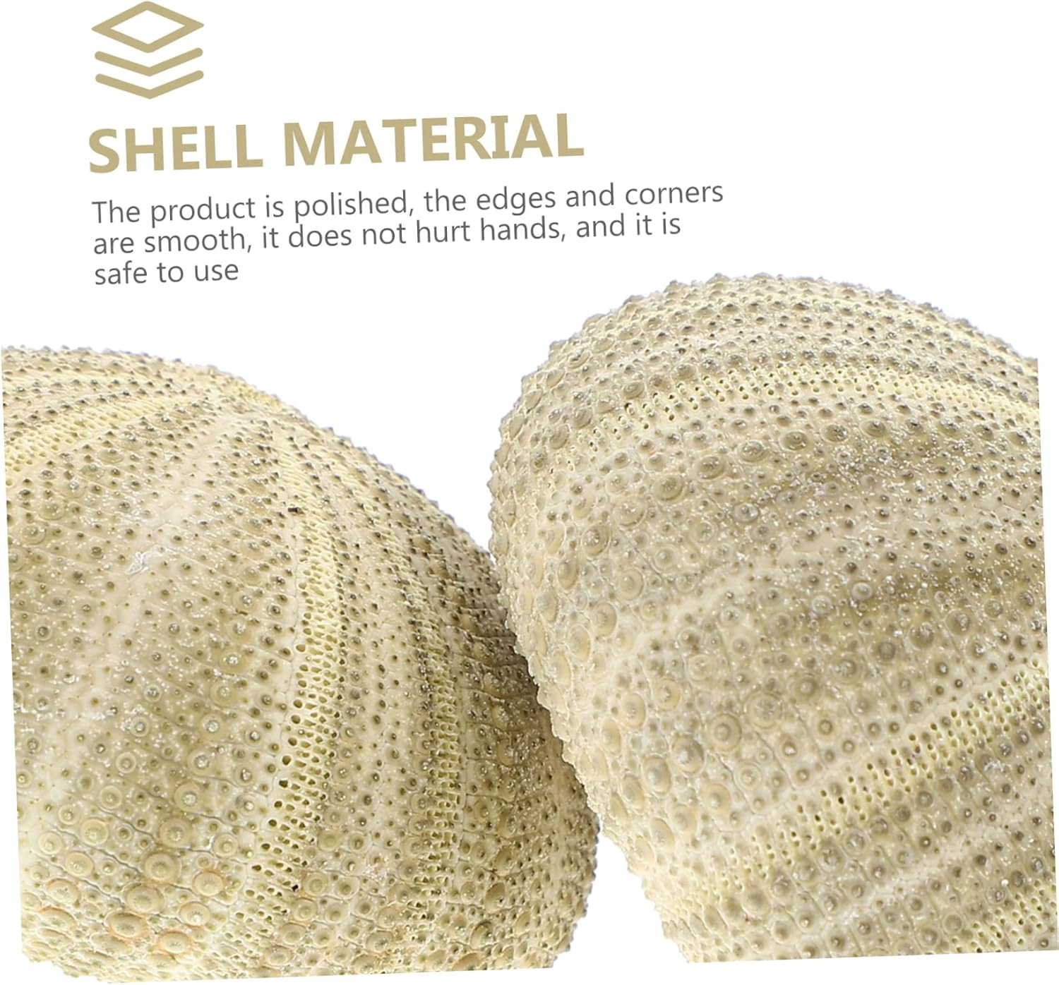 PRETYZOOM 6Pcs Sea Urchin Decor Air Plant Pot Shell Conch Tabletop Flowerpots for Indoor Plant Pot Gardening Supplies image number 5