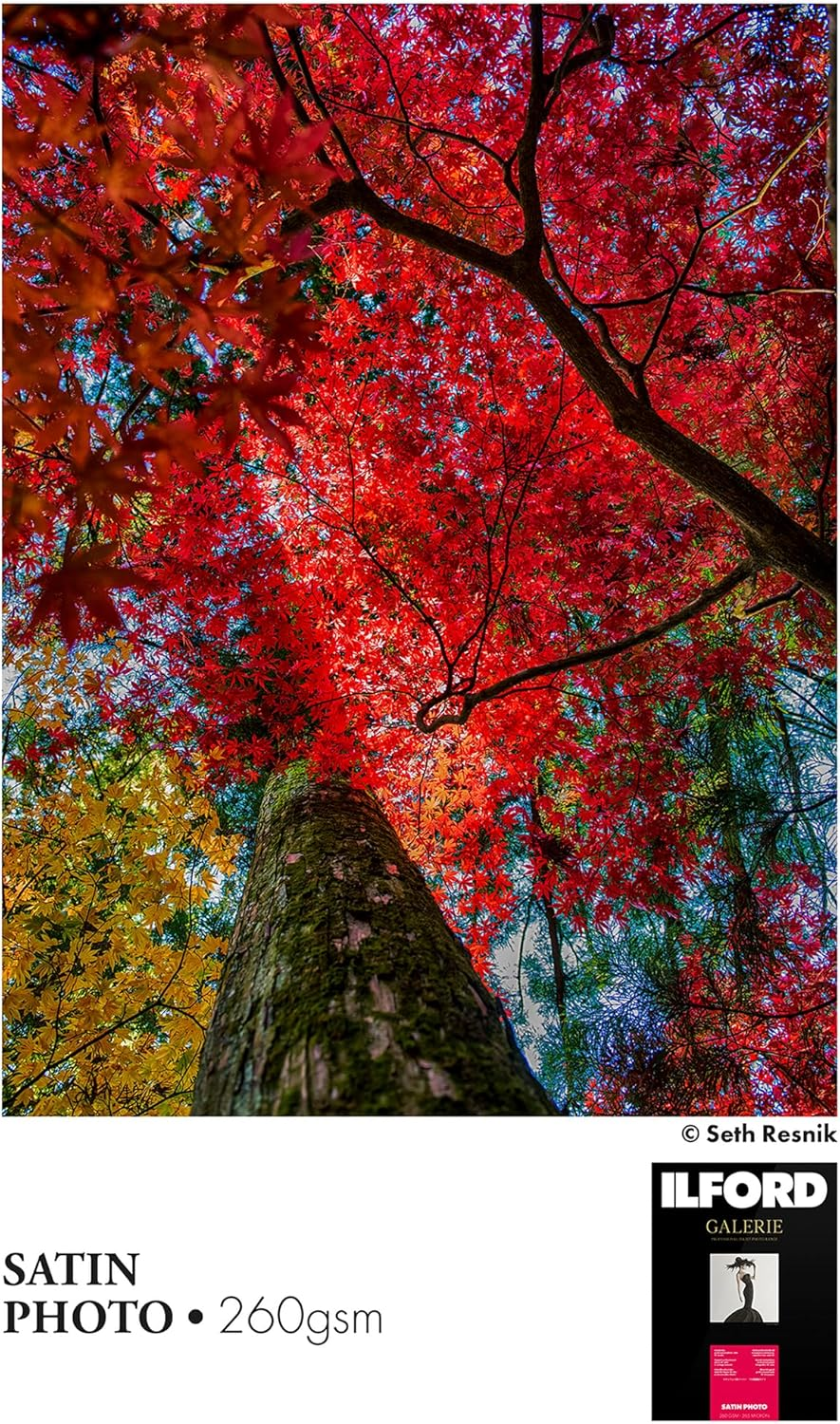 ILFORD Galerie Prestige Lustre 6X4 260GSM - 100 Sheets Professional Galerie Prestige Lustre 6X4 260GSM - 100 Sheets, White (2004021) image number 6