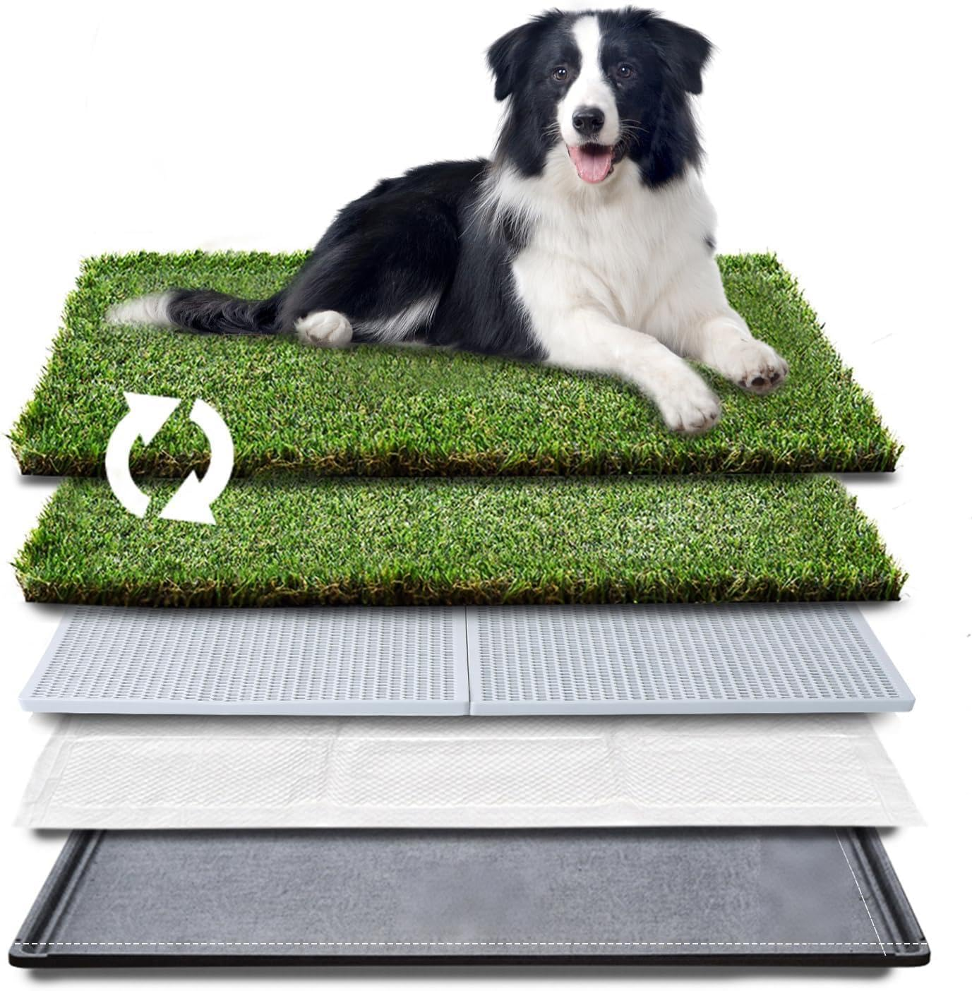 Dog Grass Pad with Tray - Dog Litter Box with 2 Artificial Grass Pads +​Highly Absorbent Puppy Pad- Potty Tray for Balcony Apartment Indoor Outdoor Use - 50.8 X 76.2 Cm image number 3