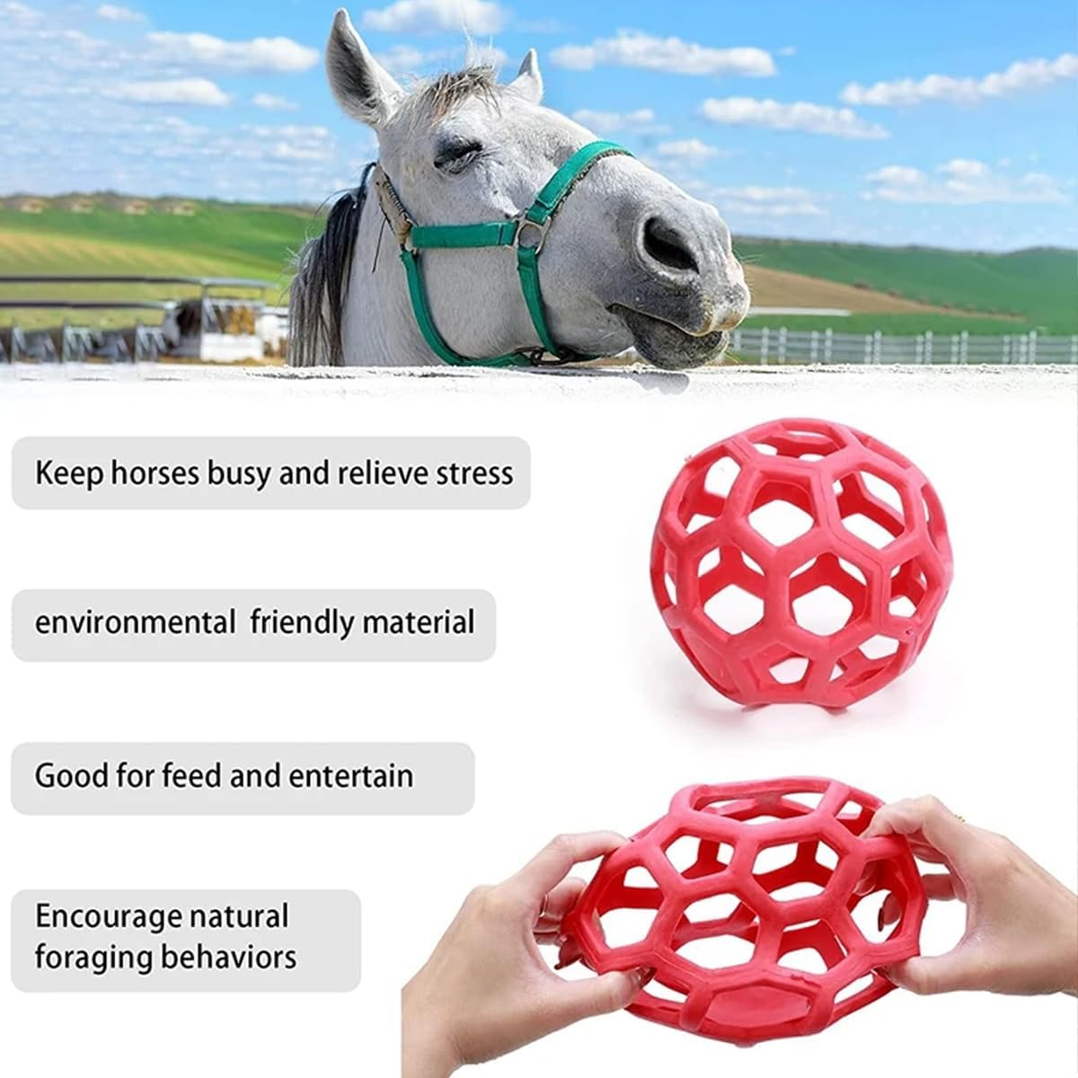 AIMALL Horse Treat Ball, Stable Hanging Hay Feeder, Polo Hay Feeding Ball Toy, 5.5 Inch Diameter, Red, Blue, Green image number 1
