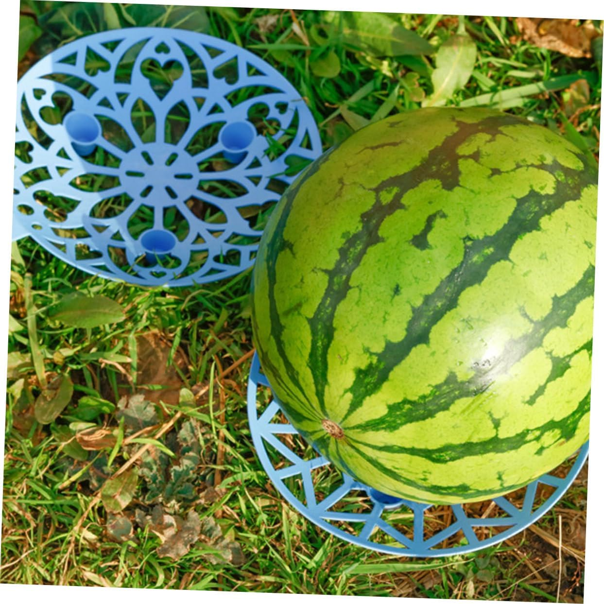 FONDOTIN 3Pcs Fruit Tray Corrosion Plastic Support Tray for Gardening and Fruit Storage No Installation Required image number 1