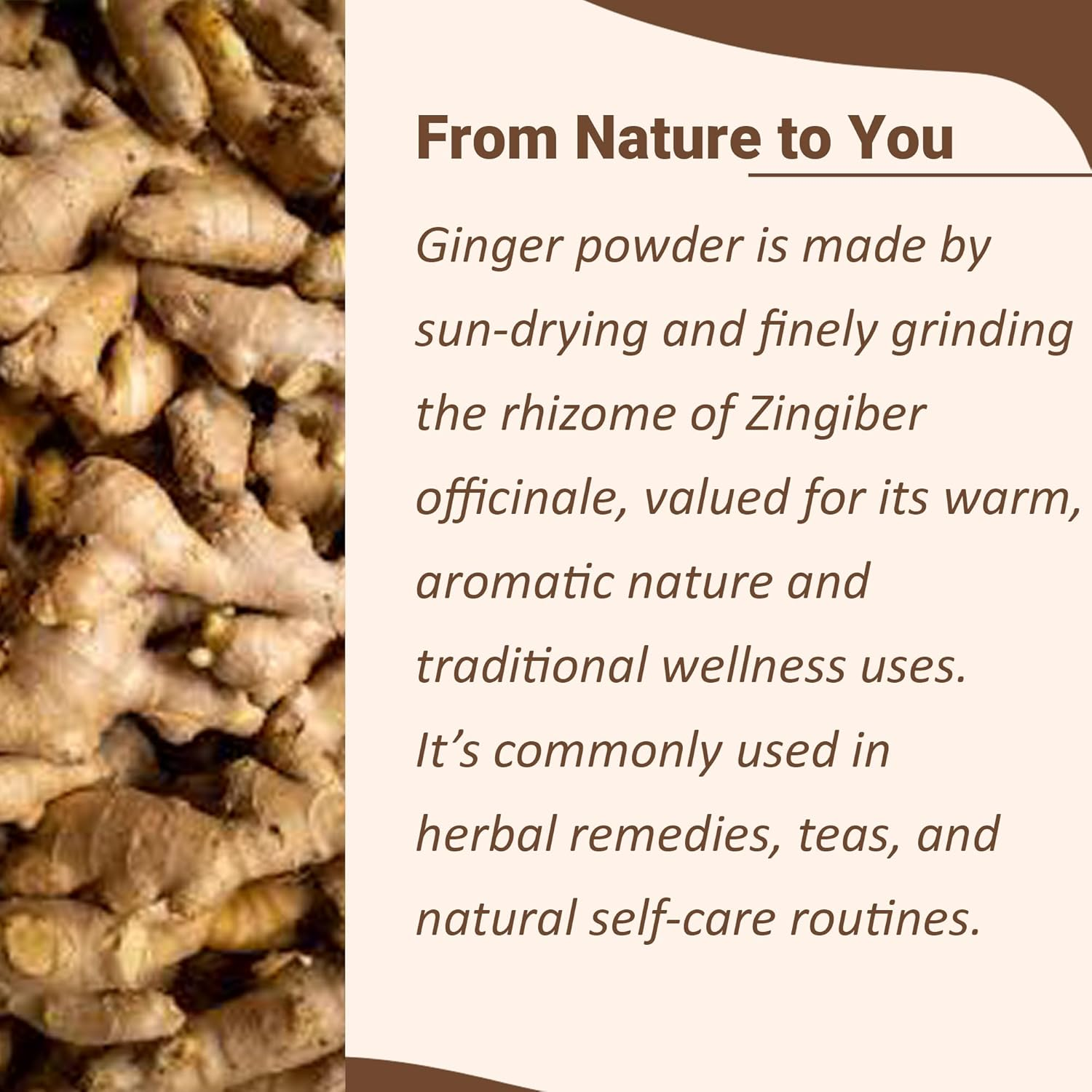 Mi Nature Ginger Powder (Zingiber Officinale Roscoe)|227G|Traditional Indian Sonth/Sooth Powder | Fine Texture | Spice & Herbaluse image number 3