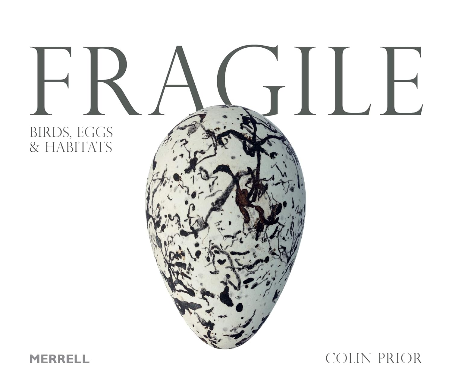 Fragile: Birds, Eggs and Habitats image number 6