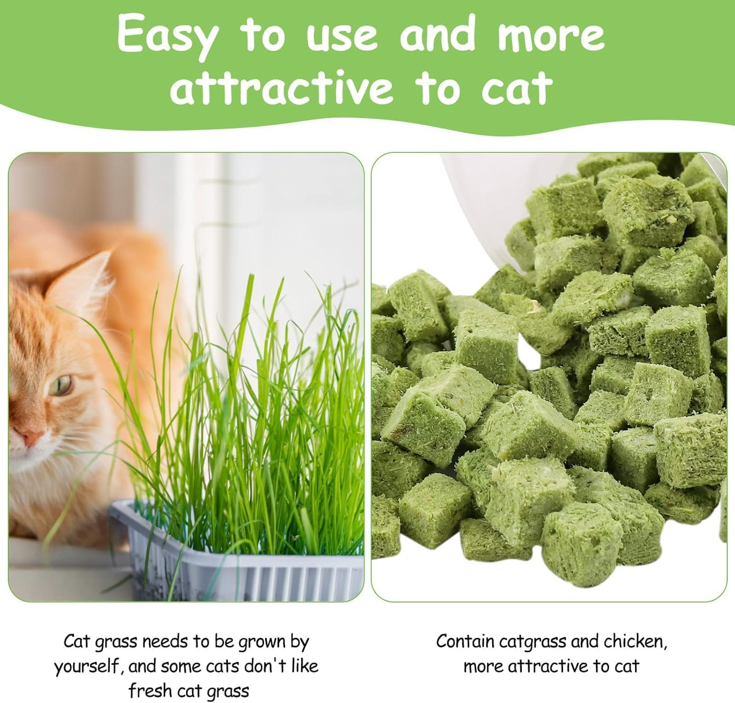 500G-Cat Grass Treats, Catnip Chew Toys for Cat, Natural Dried Snacks Grinding Rod for Indoor Kitten, Edible Cat Molar Toys for Cleaning Teeth Remove Hairball (Cat Grass Granule) image number 2