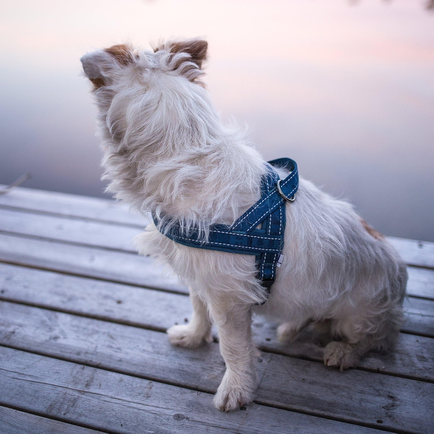 Hurtta Casual Padded Dog Harness, River, 22 In