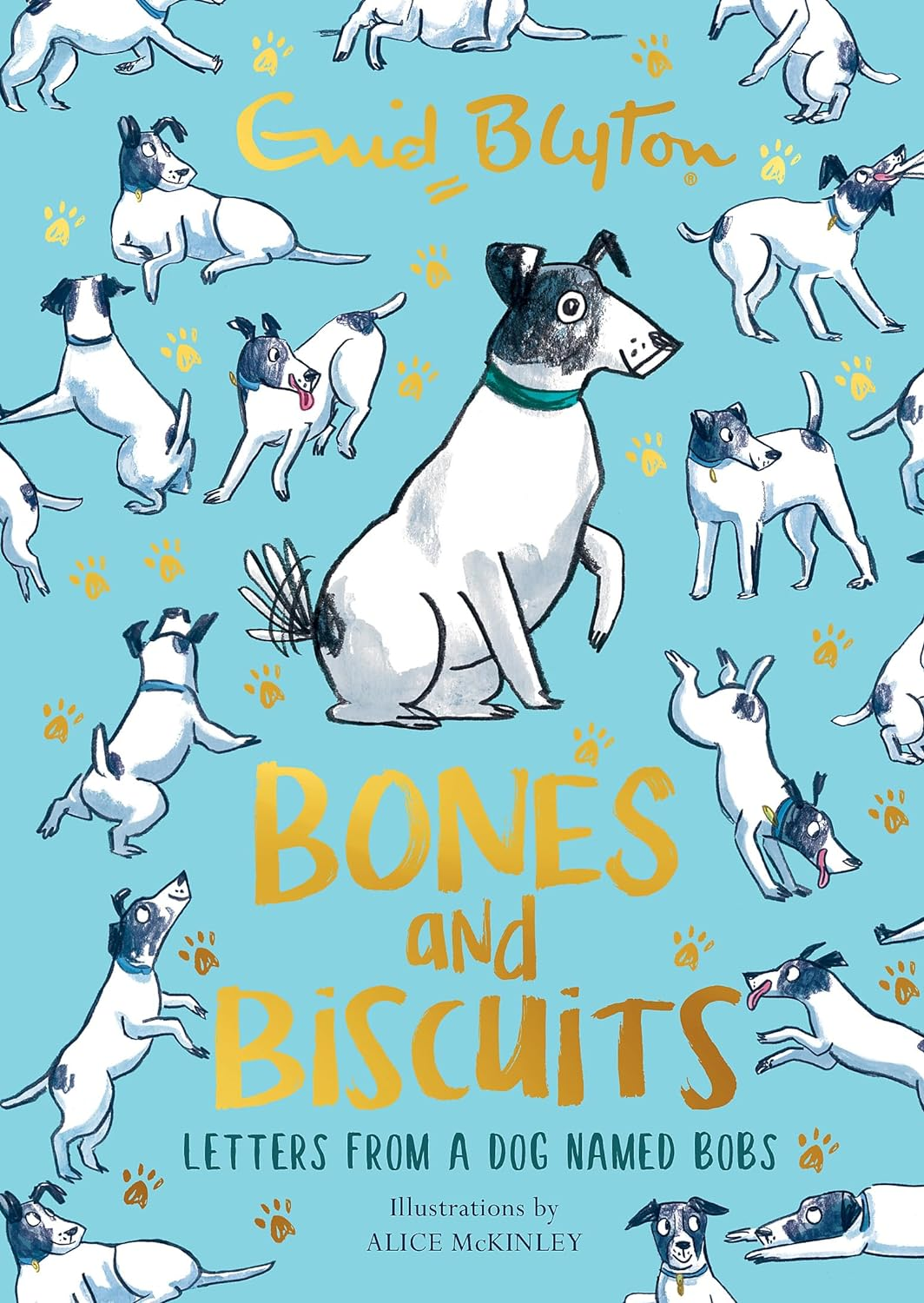 Bones and Biscuits: Letters from a Dog Named Bobs