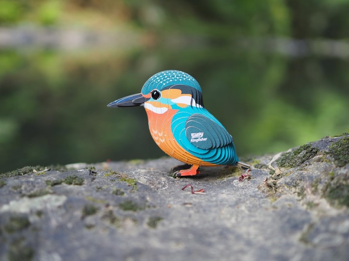 EUGY 121 Kingfisher 3D Puzzle - 29 Piece Eco-Friendly Educational Toy Puzzle for Boys, Girls & Kids Ages 6+ image number 5