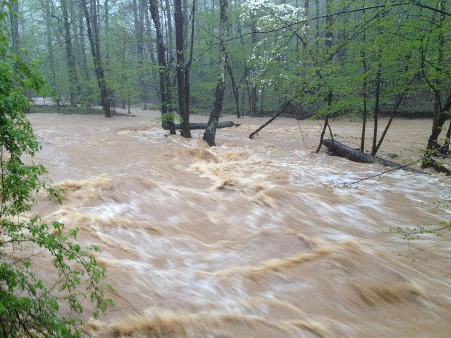 Goldn Gold Paydirt Eureka Panning Pay Dirt Bag - Gold Prospecting Concentrate image number 3