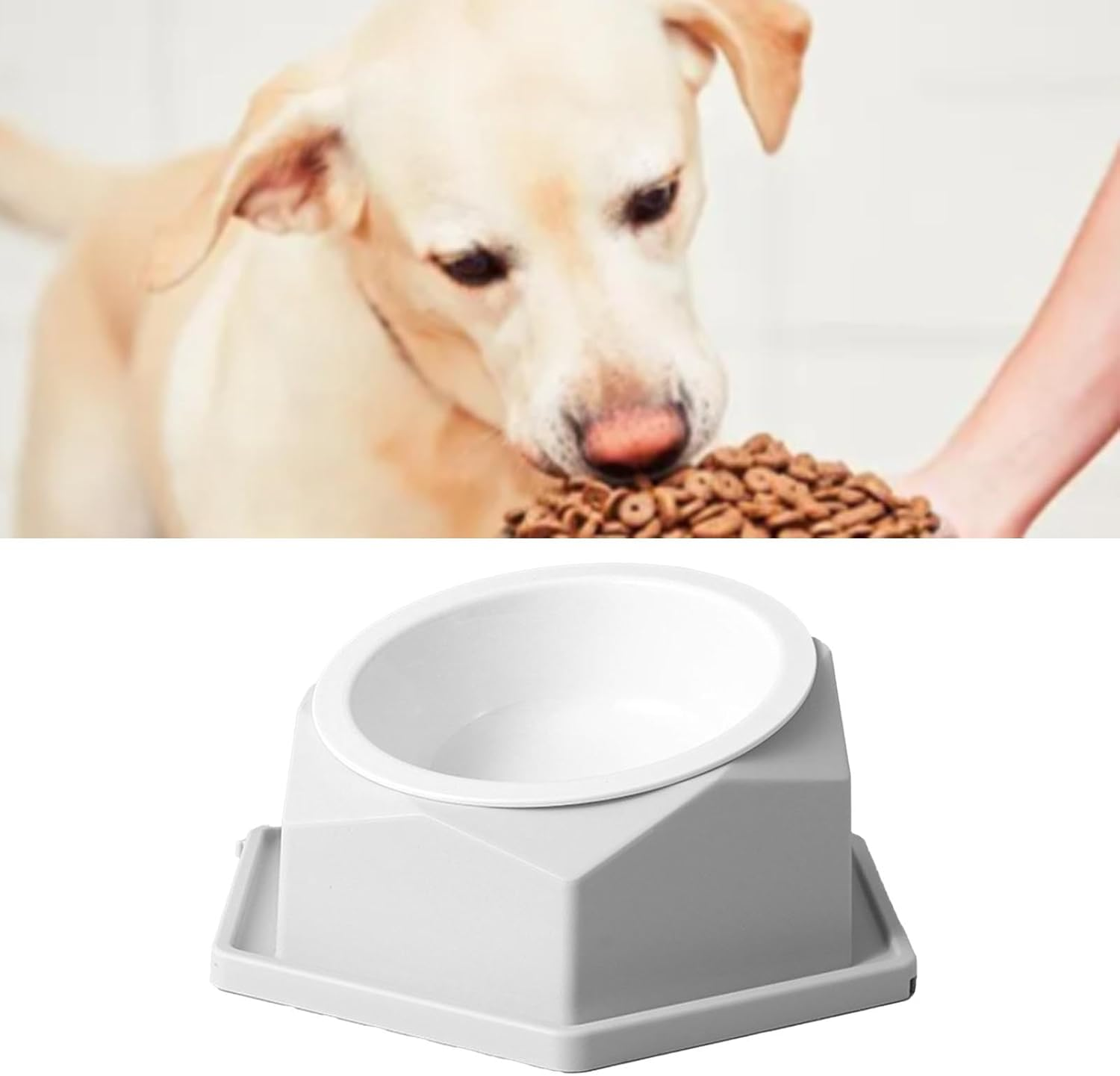 Basics Pet Food Bowl, Raised Cats Bowl Plastic Tilted Elevated Spill Proof Hexagonal Pet Food Bowl, Pet Feeder Bowls for Puppy Medium Dogs Cats /286 (Color : Gray) - Yellow image number 3