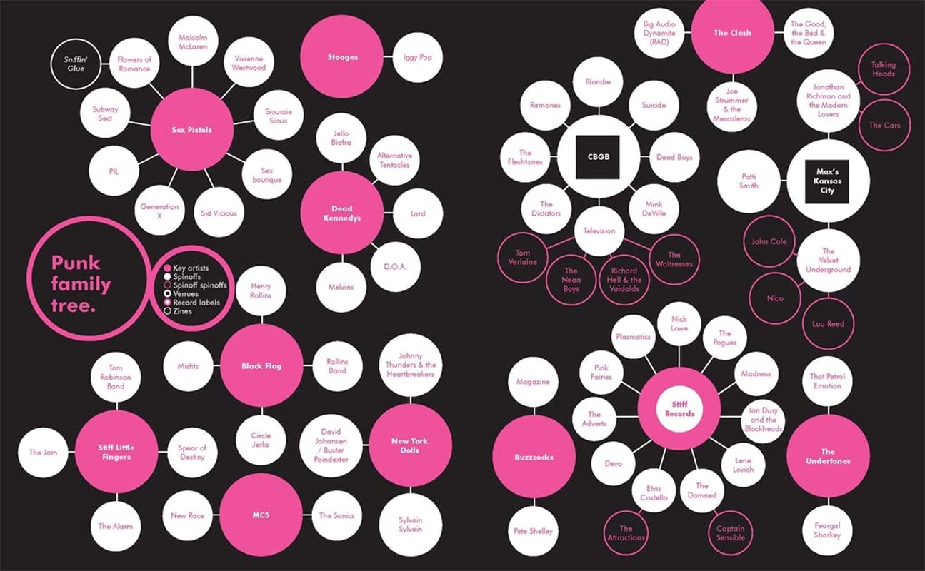 A Field Guide to Punk image number 1