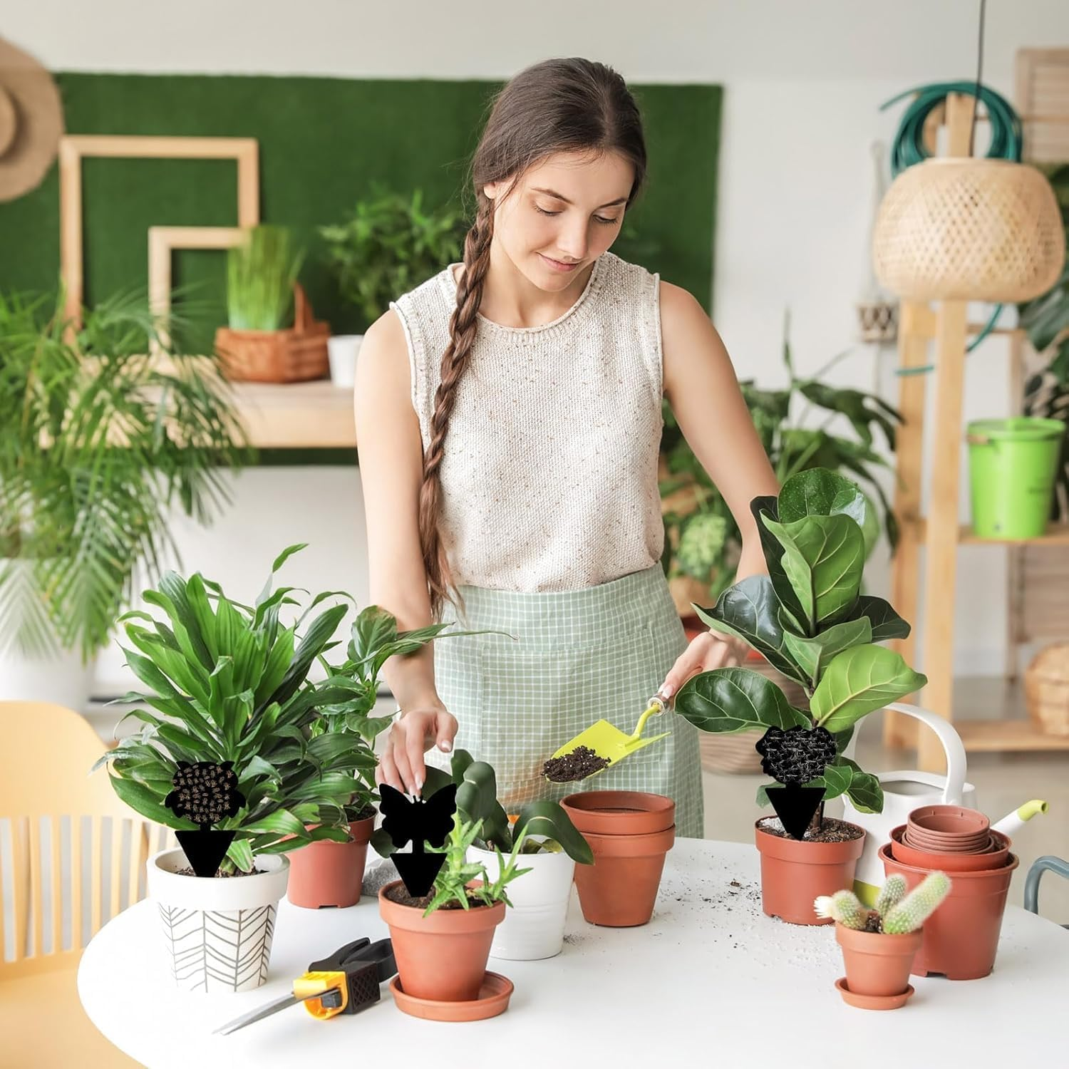 50 Pcs Fruit Fly Traps,Sticky Traps,Fungus Gnat Traps,Black Sticky Bug Traps Non-Toxic and Odorless for Indoor Outdoor Use Protect the Plant image number 2