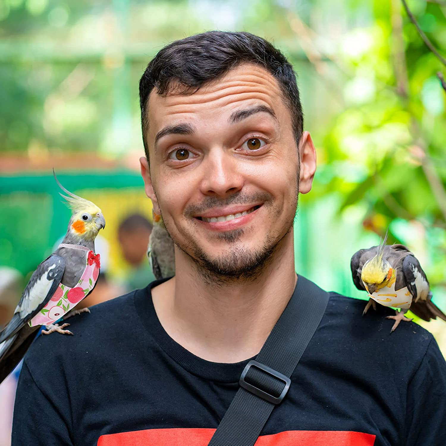 6 Pieces Bird Diaper Washable Parrot Diapers Reusable Bird Flight Suit Diaper Waterproof Inner Layer Protective Parrot Nappy Clothes for Parakeet Parrot Mini Macaw Budgie Canary, Fruit Style (Medium) image number 2