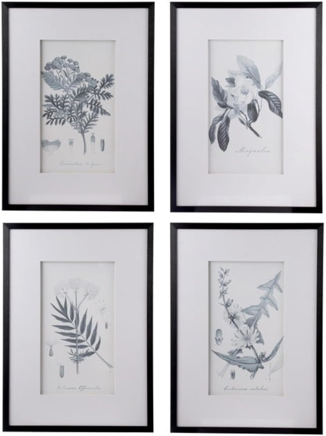 Dasch Design Flora and Fauna Framed Prints behind Glass Set of 4 image number 1