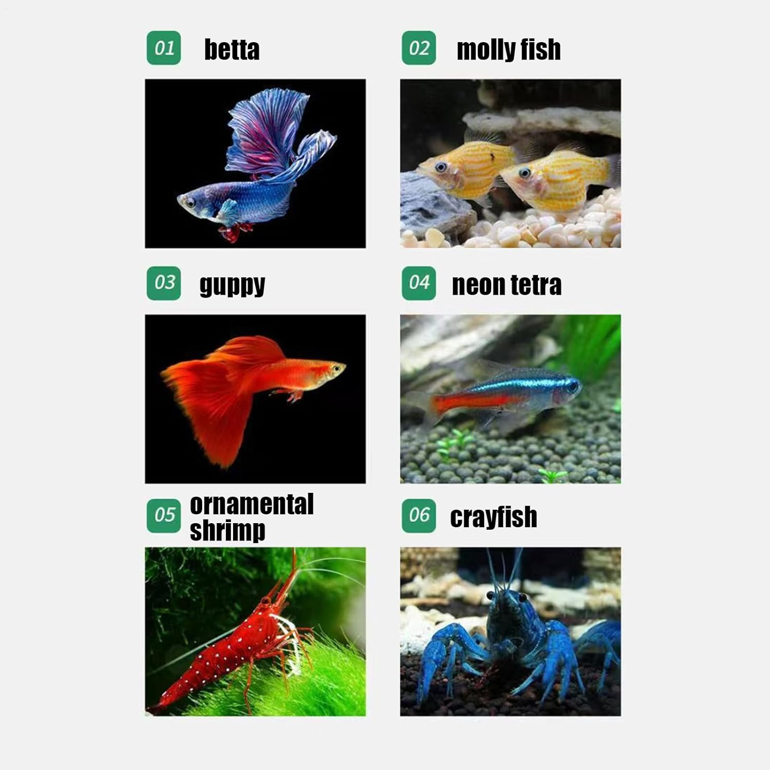 Vgvgaj Fish Breeder Box - Suction Cup Aquarium Breeder Box - Acrylic Nursery Divider Container Hatchery Incubator for Shrimp Guppy Egg Angelfish Fry Acclimation image number 2