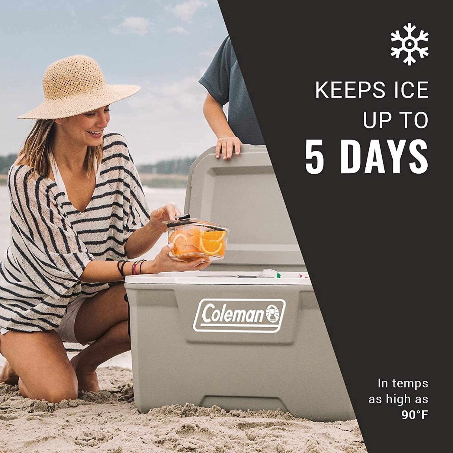 Coleman Ice Chest | Coleman 316 Series Hard Coolers