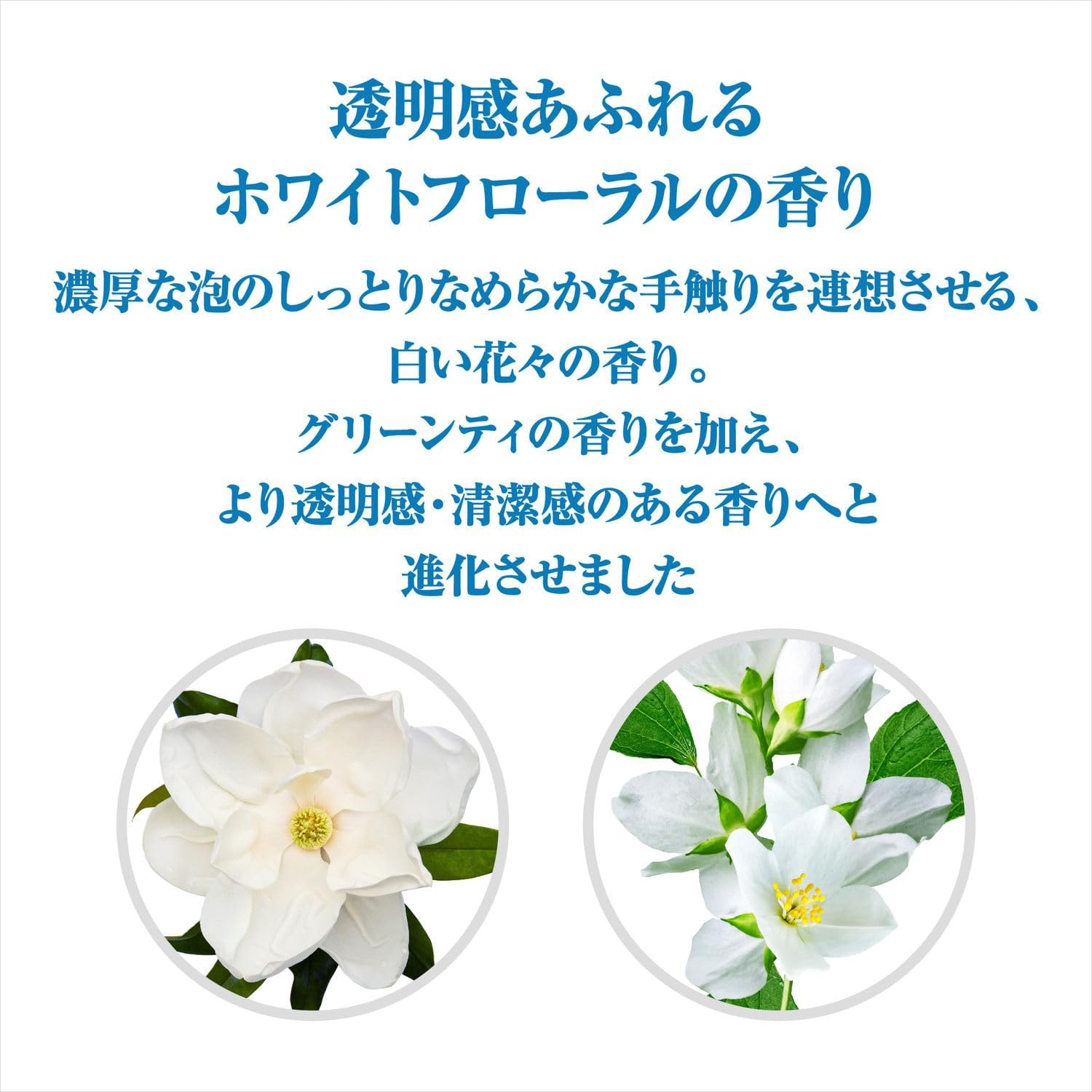 Senka SENKA Perfect Whip Speedy Refill 4.1 Fl Oz (130 Ml) X 3 Packs + Free Foamy, Texture, Pores, Dirt, Moisturizing, Rough Facial Cleanser, Refill image number 2