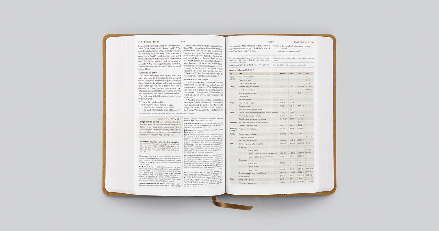 ESV Student Study Bible (Trutone, Nubuck Caramel, Wildflower Design)