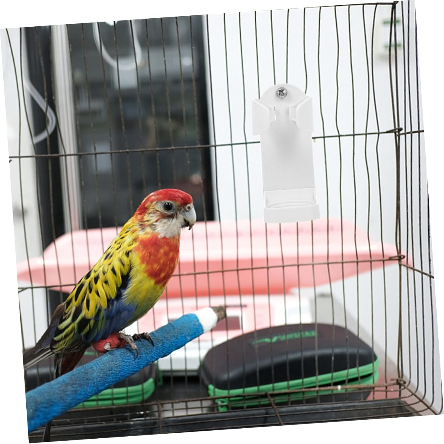 3Pcs Compact Pet Parrot Feeder Clips Bird Fruit Clamps Quick-Fix Clamps for Bird Cages Tidy Clean image number 2