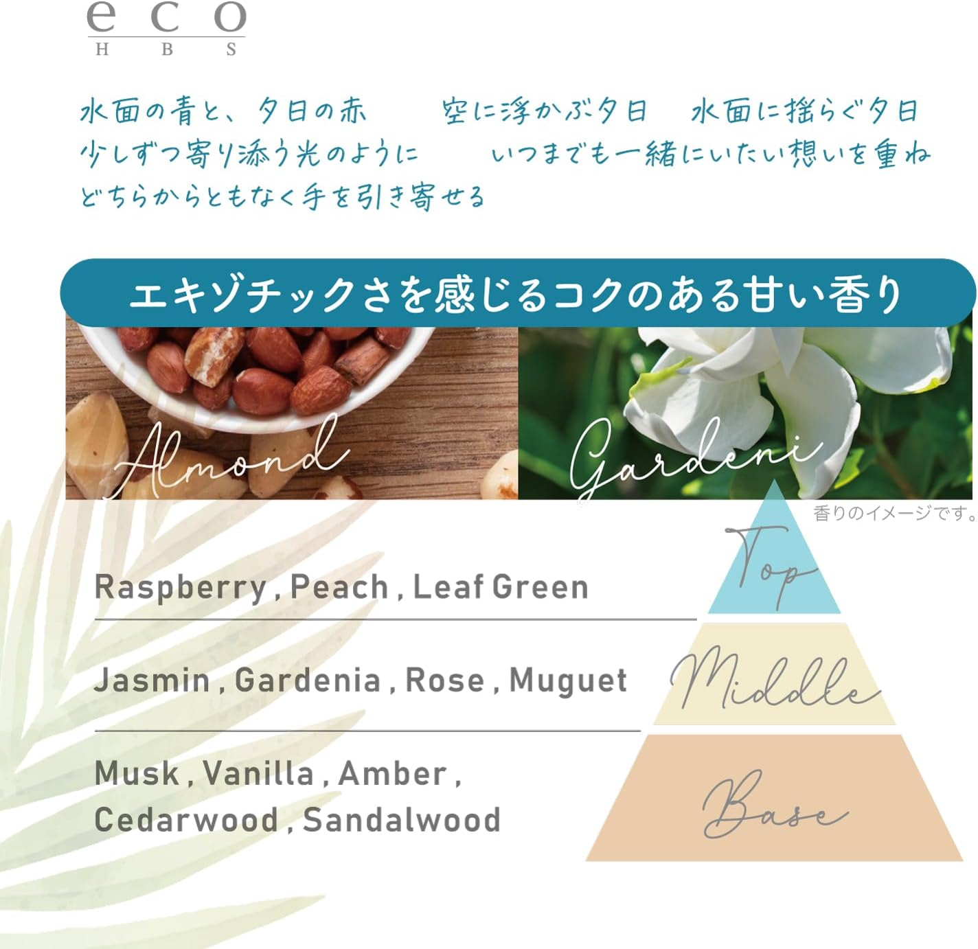 Eco HB-S Shampoo & Treatment Limited Set (Almond Nut Scent) image number 6