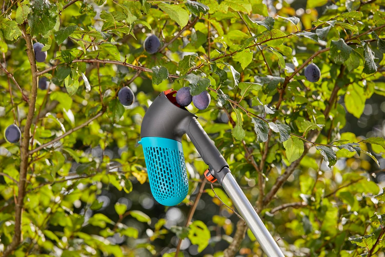 Gardena Combisystem Berry Picker: Harvester with Integrated Basket for Collecting Berries, Rotating Attachment for Berries or Fruit, Integrated Handle, Small Feet for Standing (17400-20) image number 4