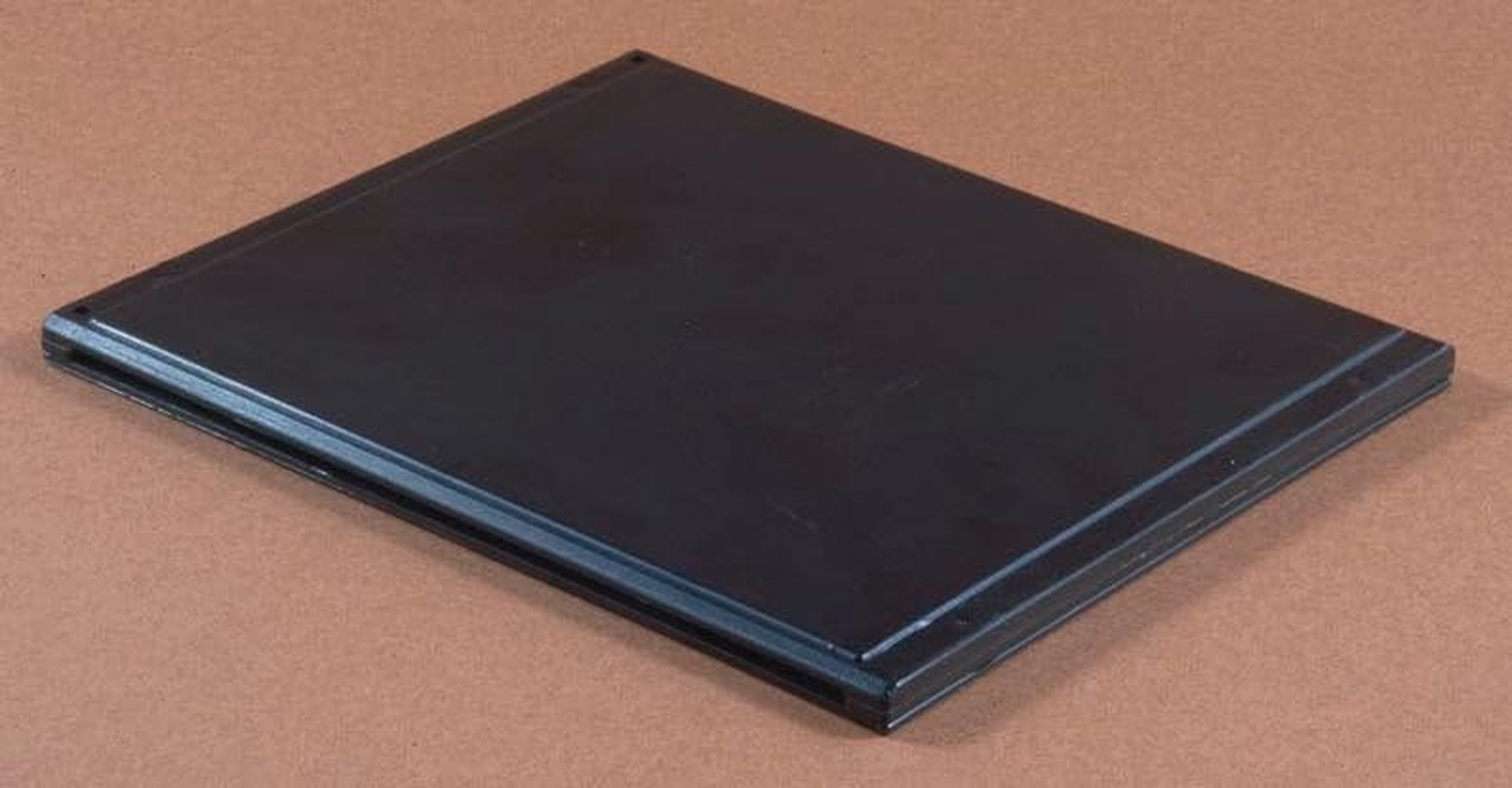 Ensystex APIH1000 Apithor Hive Beetle Harbourage - Pack of 20