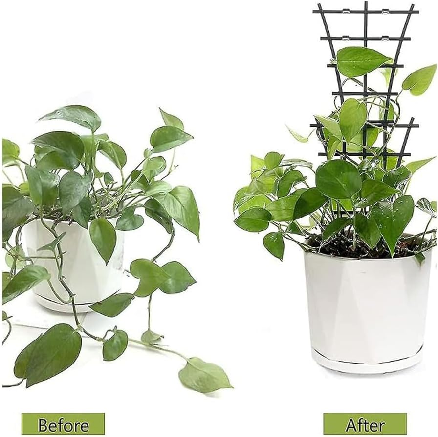 Plastic Plant Trellis, 16-Piece Stackable Support for Indoor and Outdoor Climbing Plants image number 1