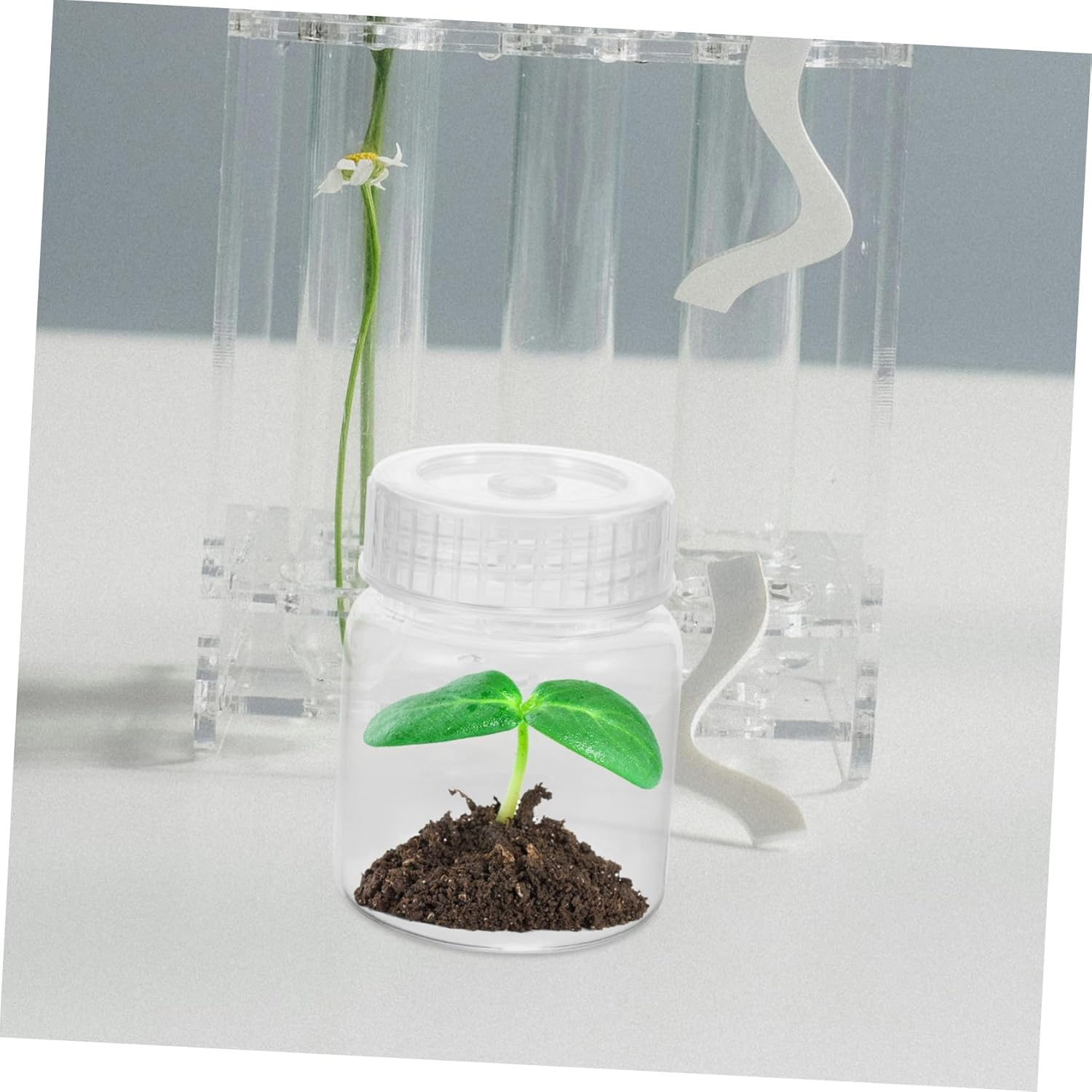 Elegant Planting Bottle Grow Container Reusable Nursery Bottle for Home and Garden image number 5