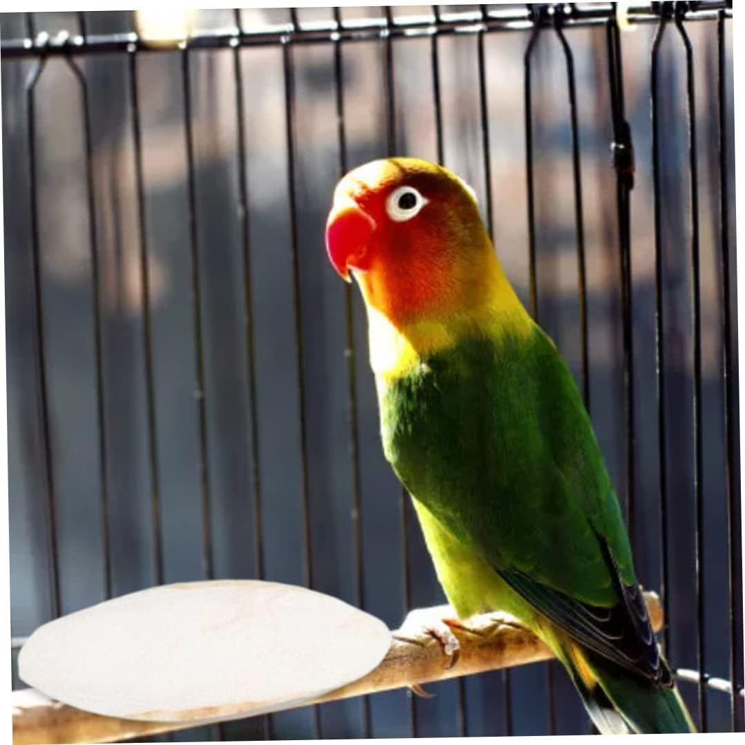 Parakeets Cuttlebone, Bird Cuttlebone Chew Toy Parrot Cuttlefish Bones Natural Safety Chewing Cuddle Bone 10PCS for Indoor image number 3