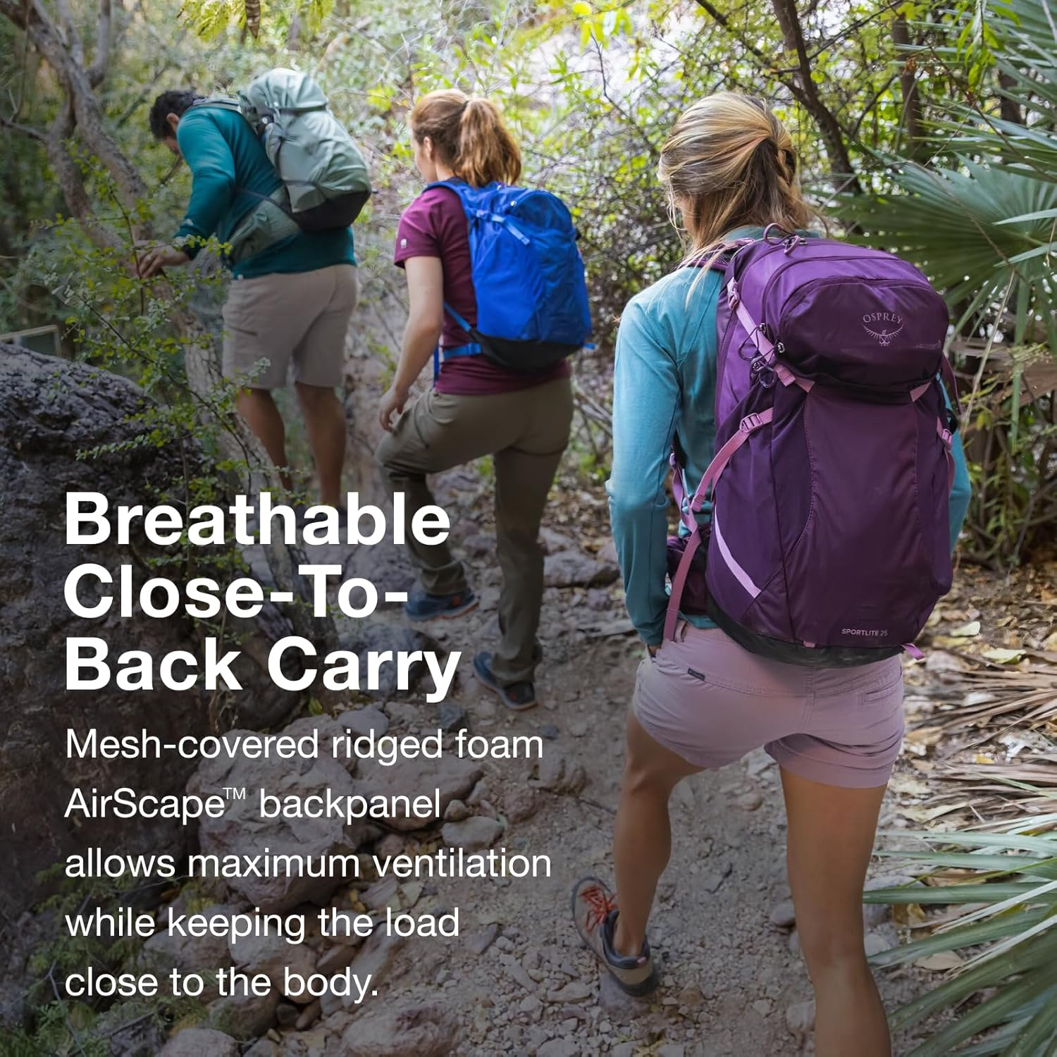 Osprey Osprey image number 5