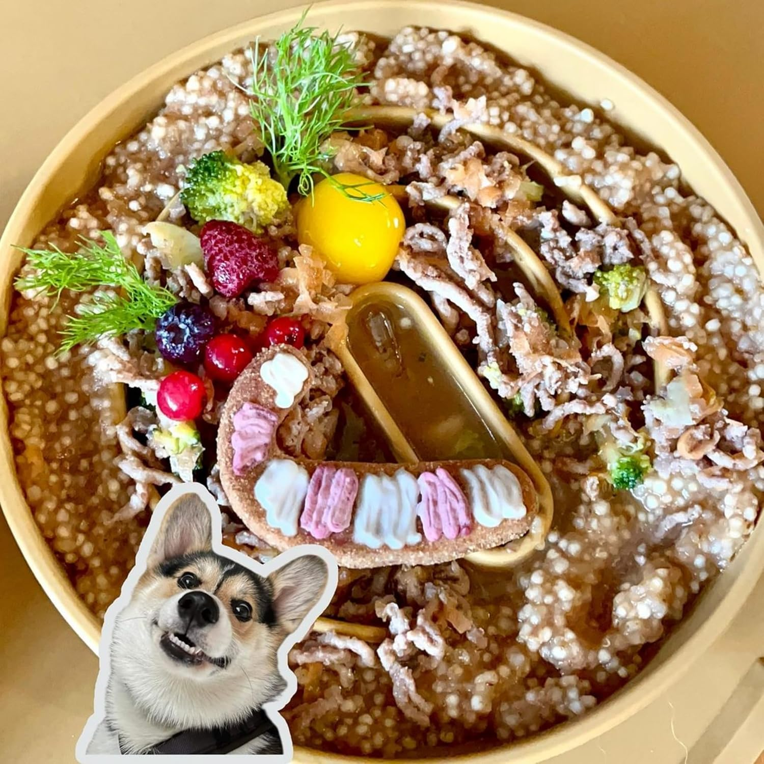 OHMO Anti-Sling Dog Bowl, Anti-Slinging Bowl Dogs for Cats Puppies, Healthy Eating, Stops Bloating, Non-Slip, Environmentally Friendly Silicone (Amber) image number 2