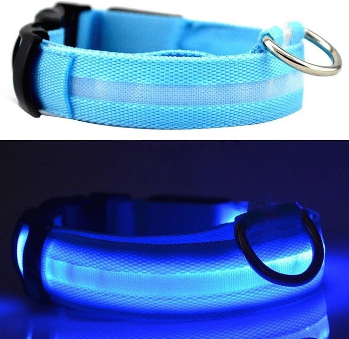 NEO+ UK SELLER ! Improved Dog Visibility & Safety USB Rechargeable LED Dog Safety Collar. Ultra-Bright Led'S. Connects to Devices. Dog Will Be More Visible & Safe (BLUE SIZE XL)