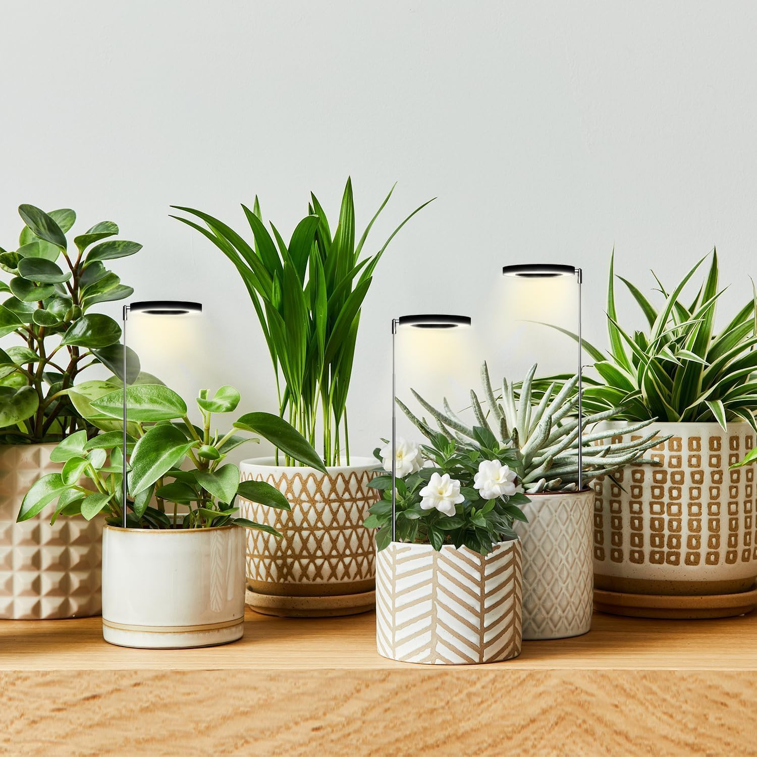 Plant Grow Light, 48 Leds Full Spectrum Grow Lights for Indoor Plants, Height Adjustable Small Grow Light with Auto Timer 3/9/12Hrs, Dimmable Brightness, Ideal for Small Plants (Black) image number 2