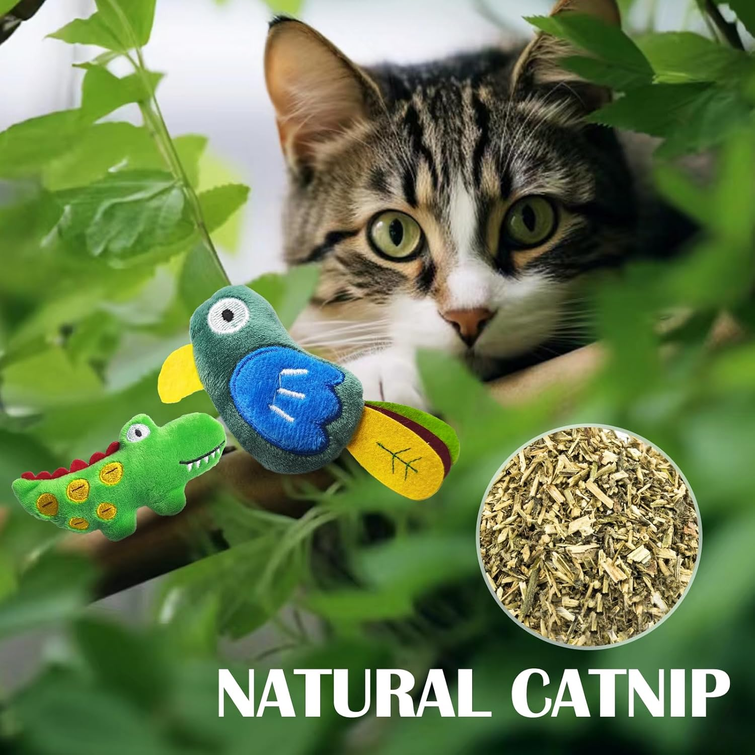 Cat Toys with Catnip, Bird Catnip Toys for for Indoor Cats, Cat Chew Toy,Toy for Kittens Kitty, 2 Pack image number 5