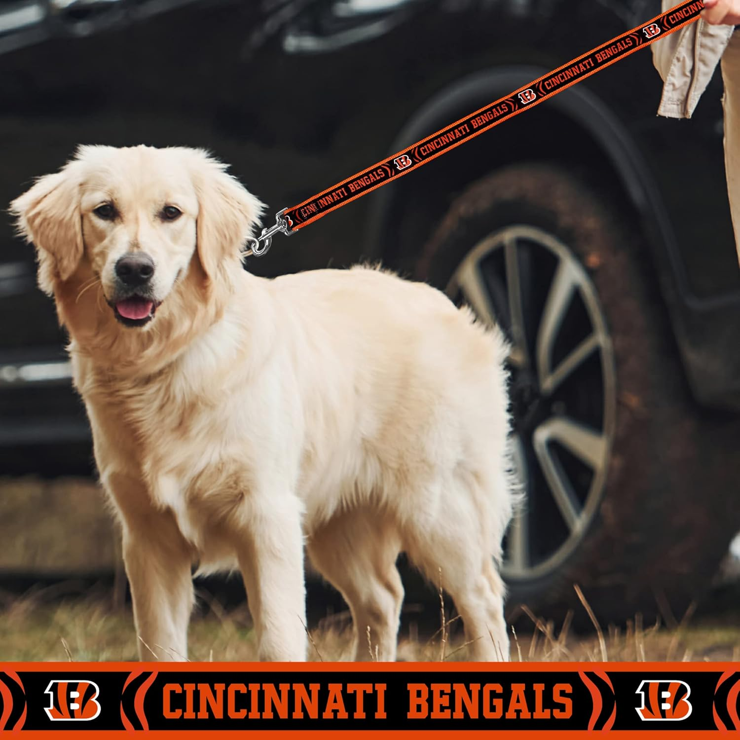 NFL PET Collar Cincinnati Bengals Dog Collar, Large Football Team Collar for Dogs & Cats. a Shiny & Colorful Cat Collar & Dog Collar Licensed by the NFL image number 1