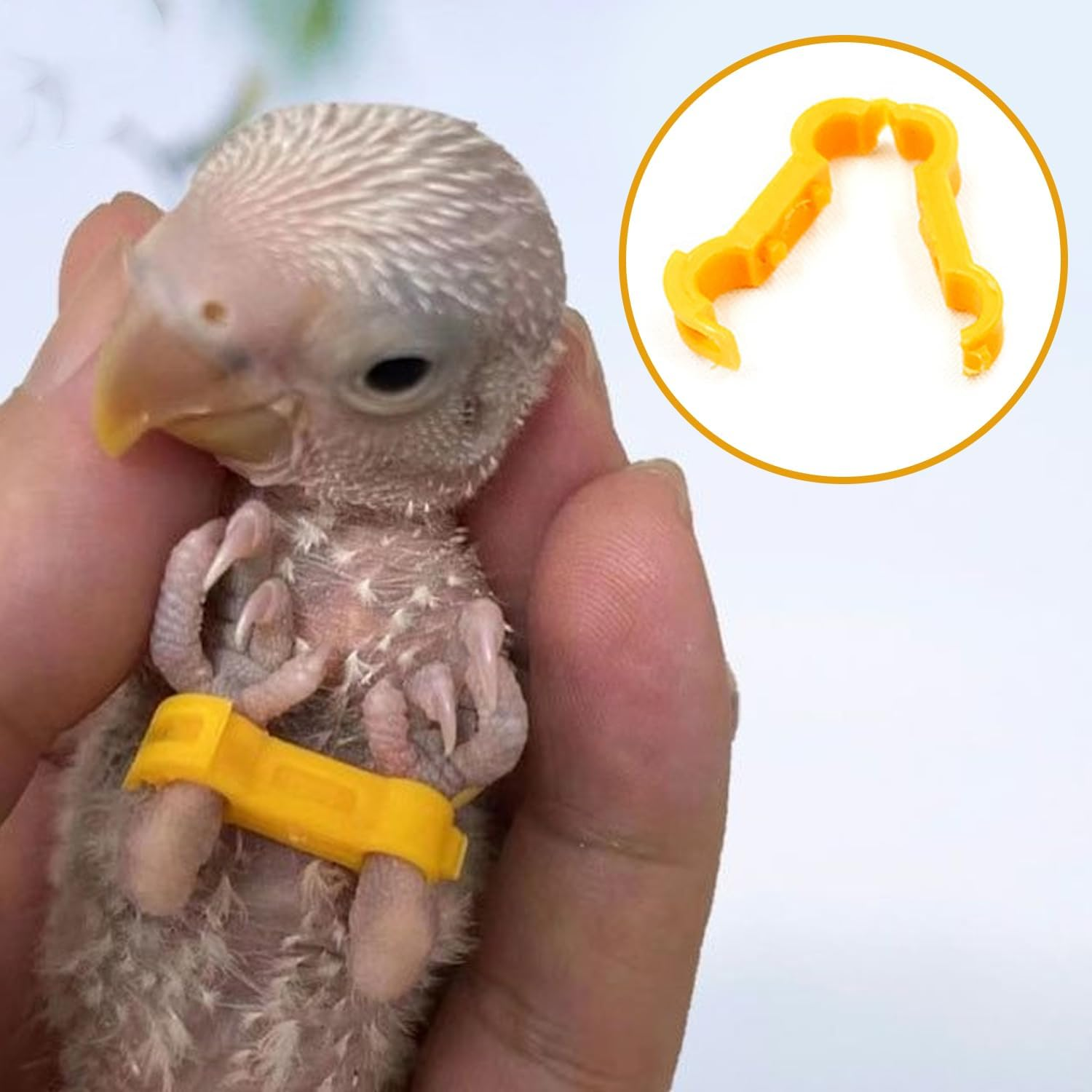 AIRTILY Pack of 9 Yellow Chicken Leg Stands, Plastic Double Foot Corrector, Creative Bird Support Clamp, Reusable, Suitable for Bird Chicks image number 3