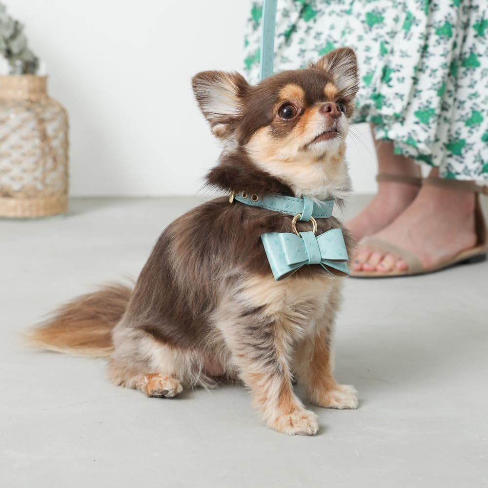 Moncheri Moncheri Dog Collar, Austrian Leather Ribbon Pendant Collar/Camel/M, Cute, Fashionable, Popular, Brand, Toy Poodle, Chihuahua, Small Dogs, Medium Dogs