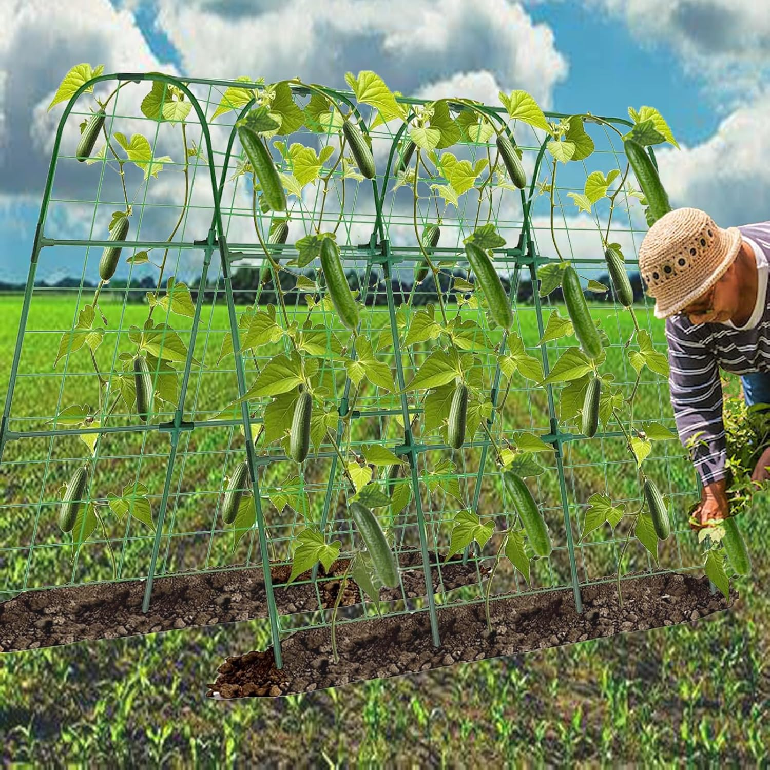 Cucumber Trellis,Garden Trellis for Climbing Plants,63" X 47" Metal Detachable Arch Trellis with Netting for Vegetables, Plant Support for Tomato,Pea,Zucchini,Squash