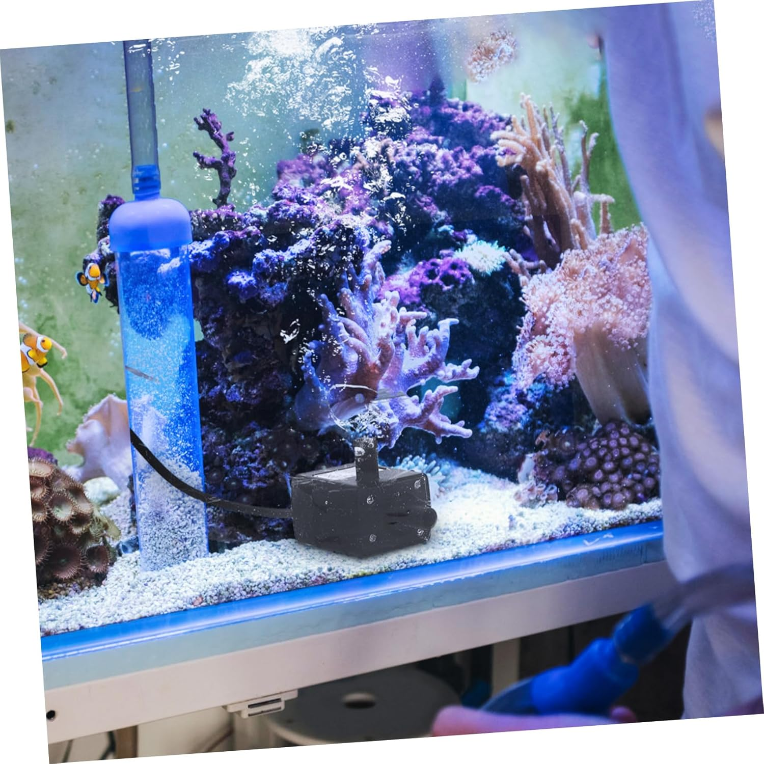 SUPVOX 5Pcs Mini Submersible Water Pump USB Powered for Cat Water Fountain Aquarium Fish Tank image number 1