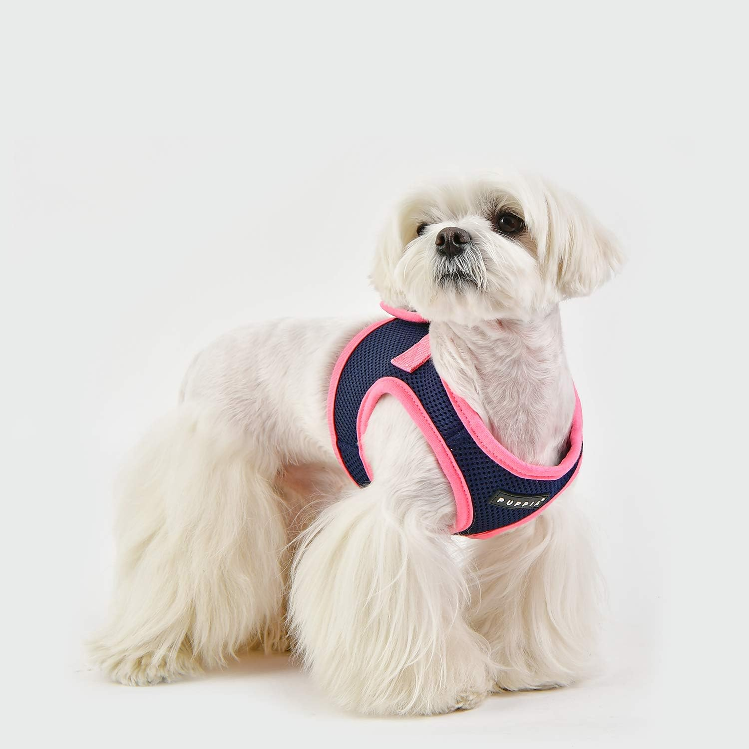 Puppia Soft Vest Harness B Ii Navy M Harness for Dogs - 70 G image number 2