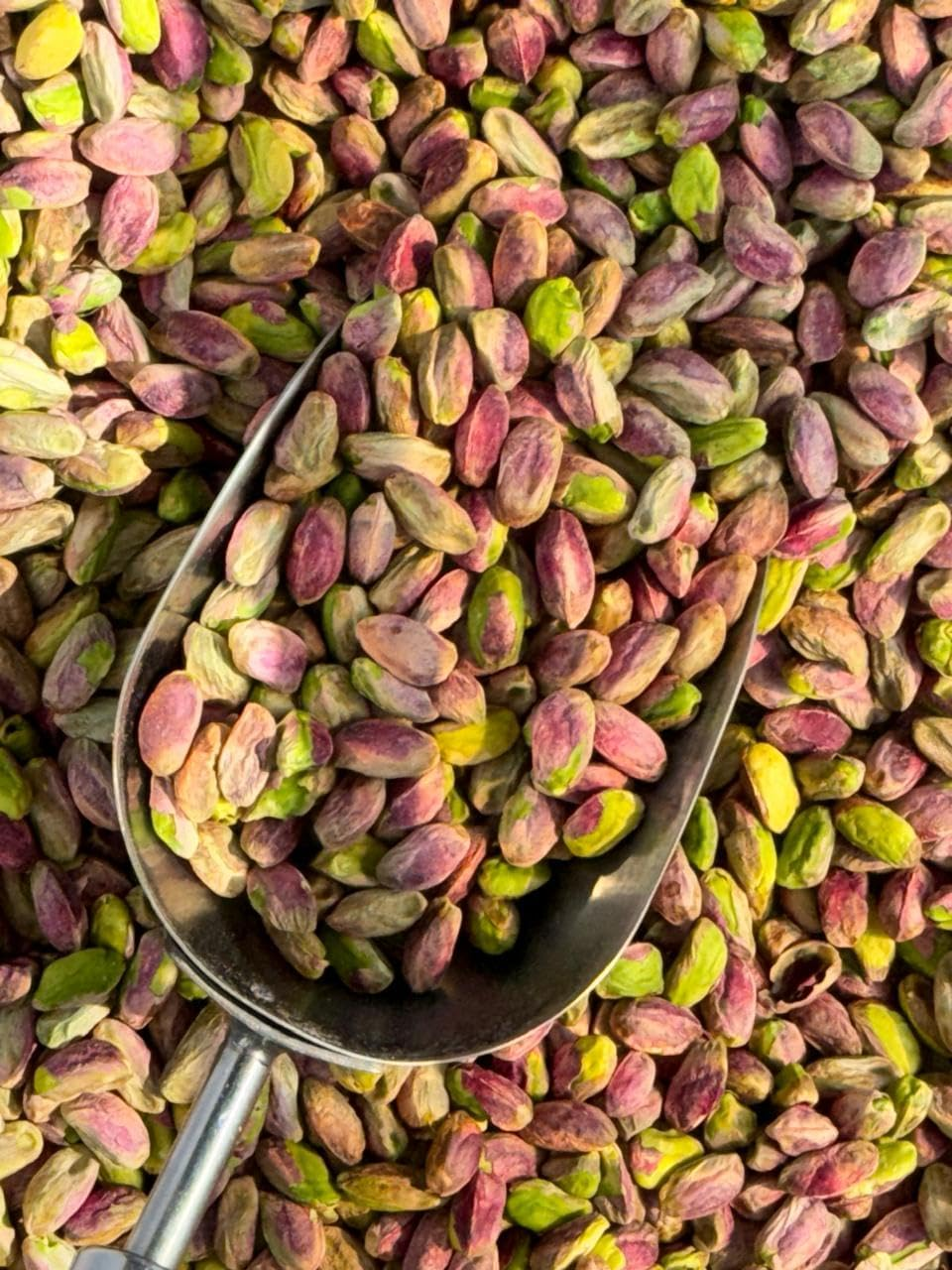 Raw Australian Pistachio Kernels I Premium Grade I Vacuum Sealed Nuts I Fresh, Crunchy I Perfect for Baking and Dubai Chocolate I Natural, No Additives, No GMO, Vegan-Friendly. (500 Grams)