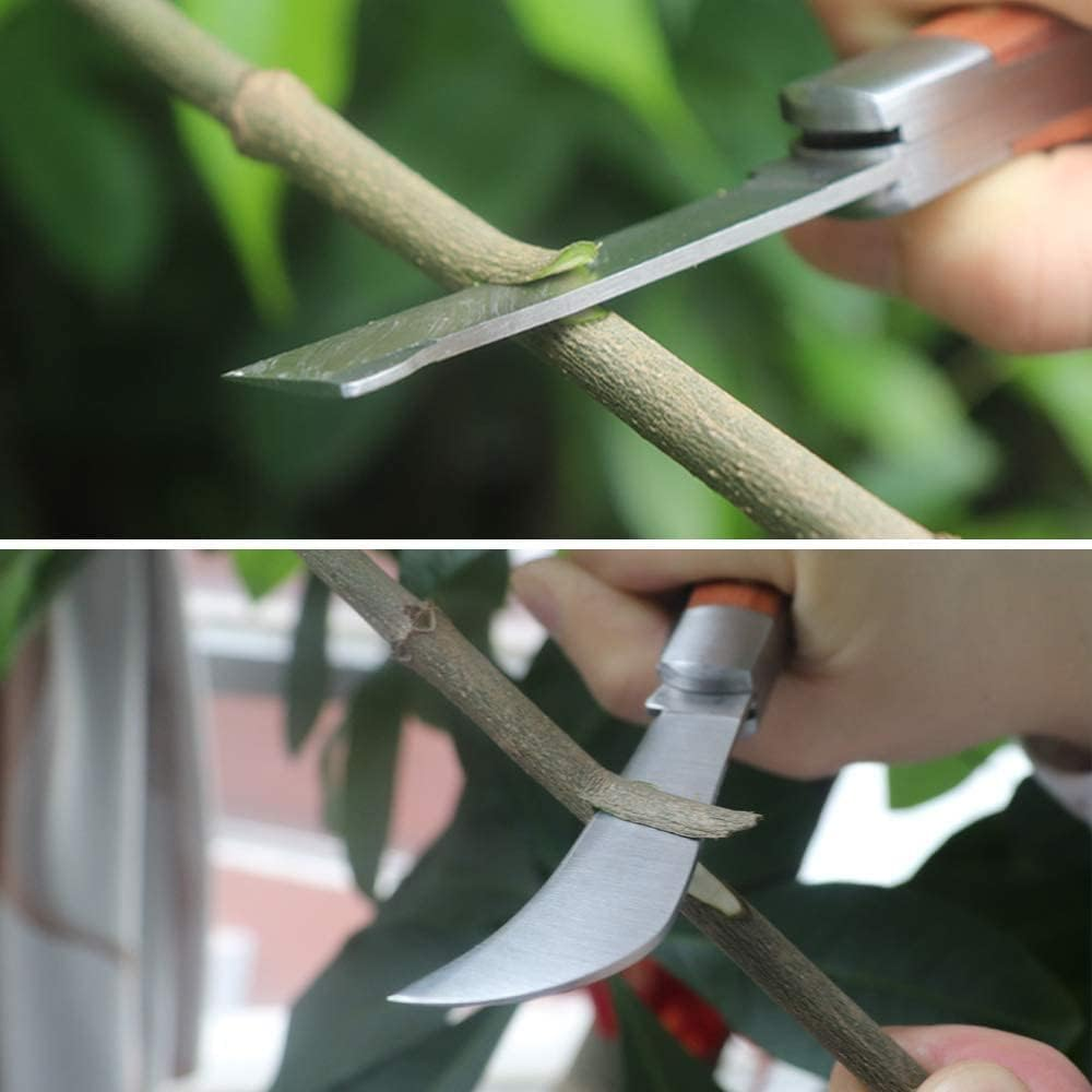 Grafting Garden Knife - Grafting Knife with 2 Grafting Tape, Stainless Steel Double Blade Grafting Knife with Grafting Tape, Flexible Grafting Kit image number 2