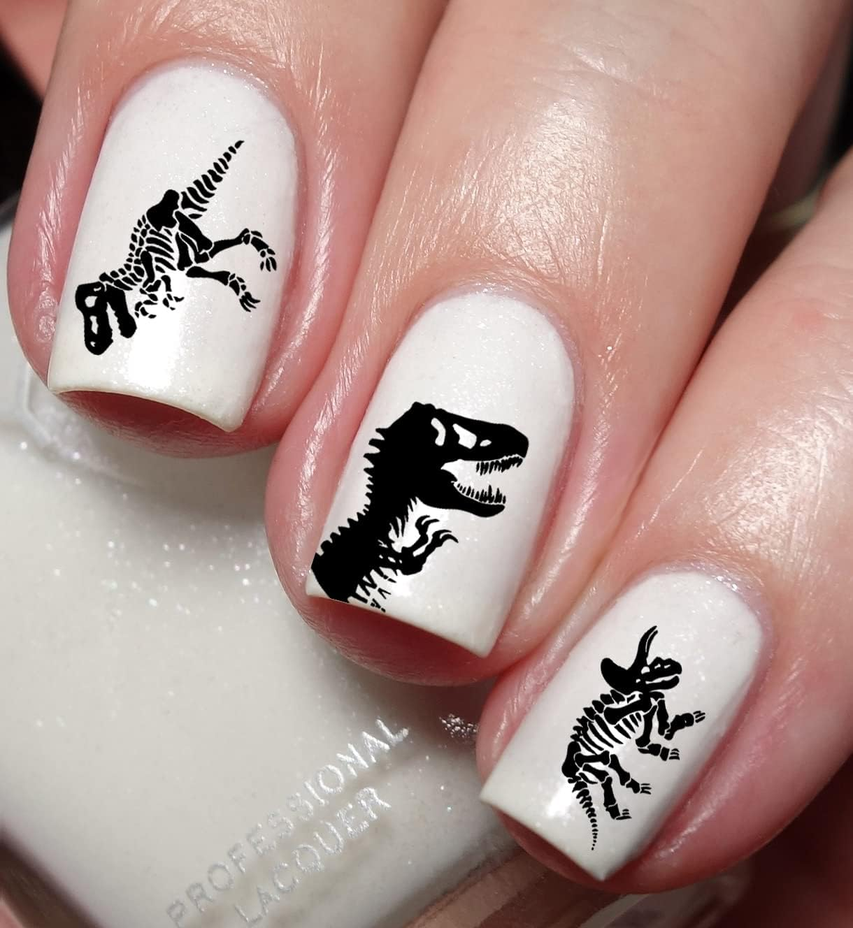Dinosaur T-Rex Skeleton Nail Art Decal Sticker