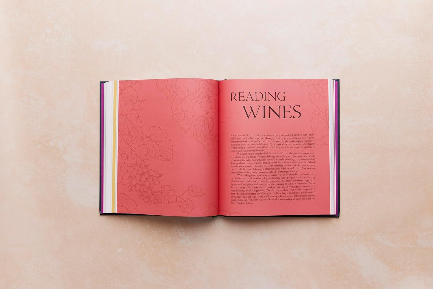 One Thousand Vines: a New Way to Understand Wine