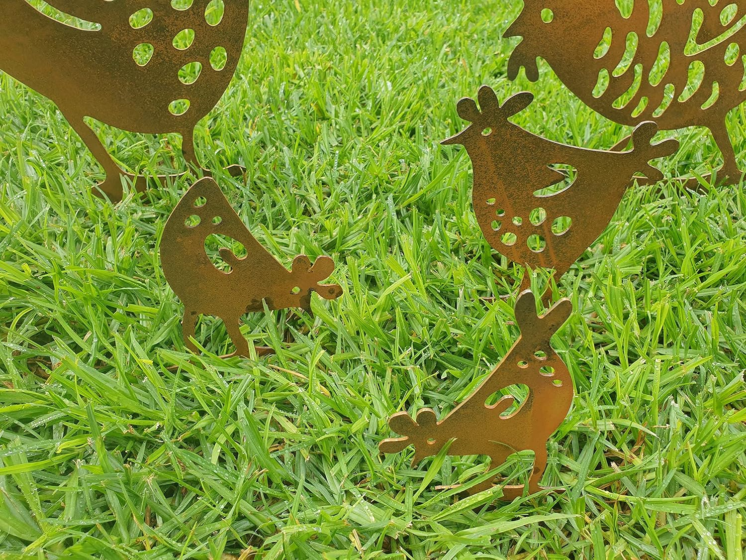 Funky Chickens Garden Stake - Australian Made Rusted Metal Garden Art