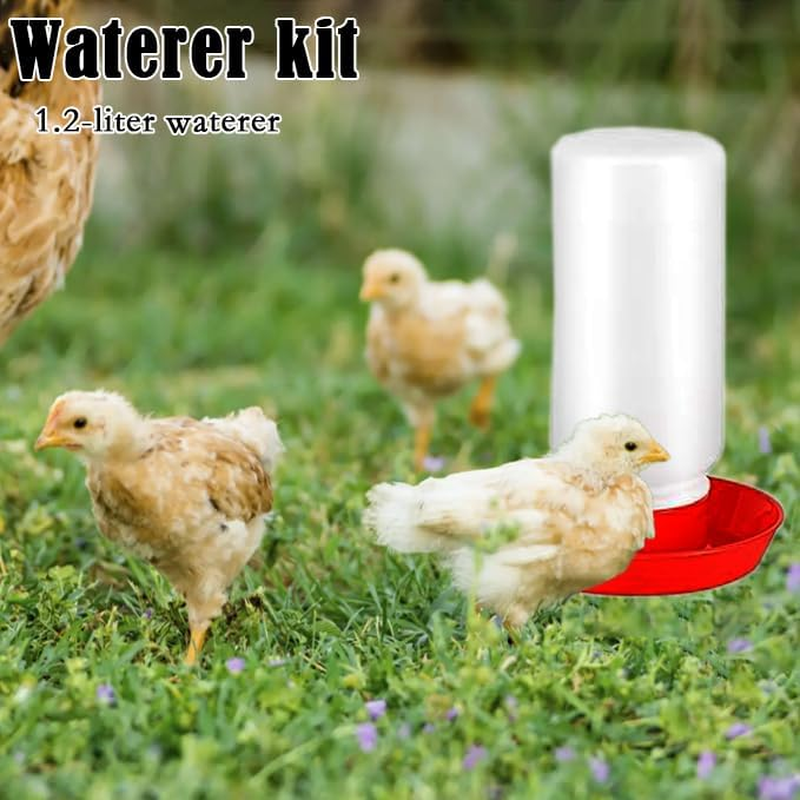 Poultry Feeding & Watering System with Comfort Perch, Durable Plastic Combo for Chicks/Ducks/Quail | Auto-Dispensing Troughs & Anti-Drown Design image number 1