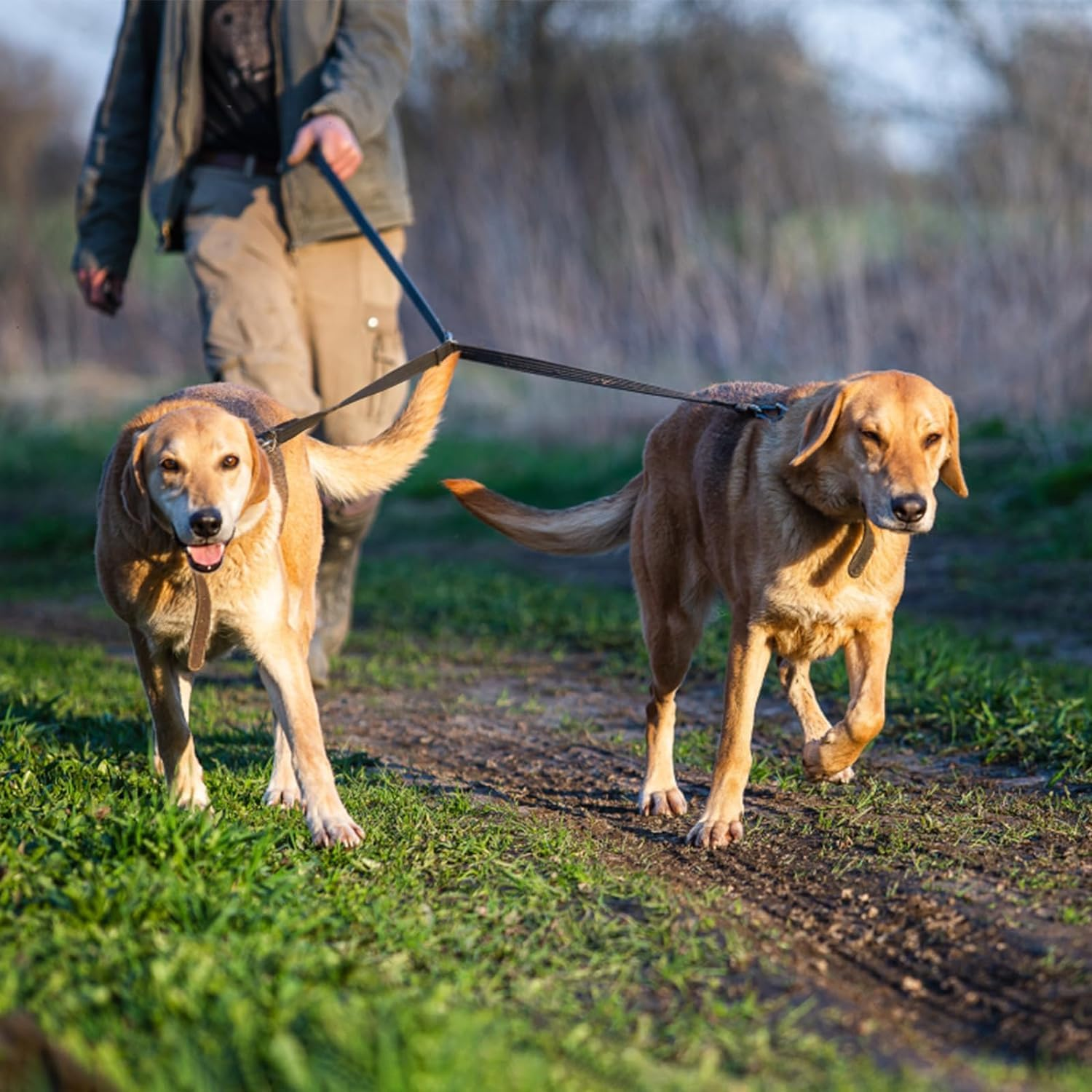 Double Dog Lead - Adjustable Reflective Nylon Lead for Walking Two Dogs
